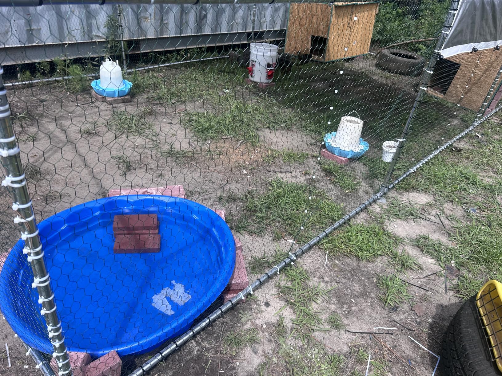 NUGRIART Large Metal Chicken Coop Walk-in Poultry Cage with Water-Resident and Anti-UV Cover Duck Rabbit Cat House Outdoor Chicken Run Pen with Spire Shaped Cage customer photo 2