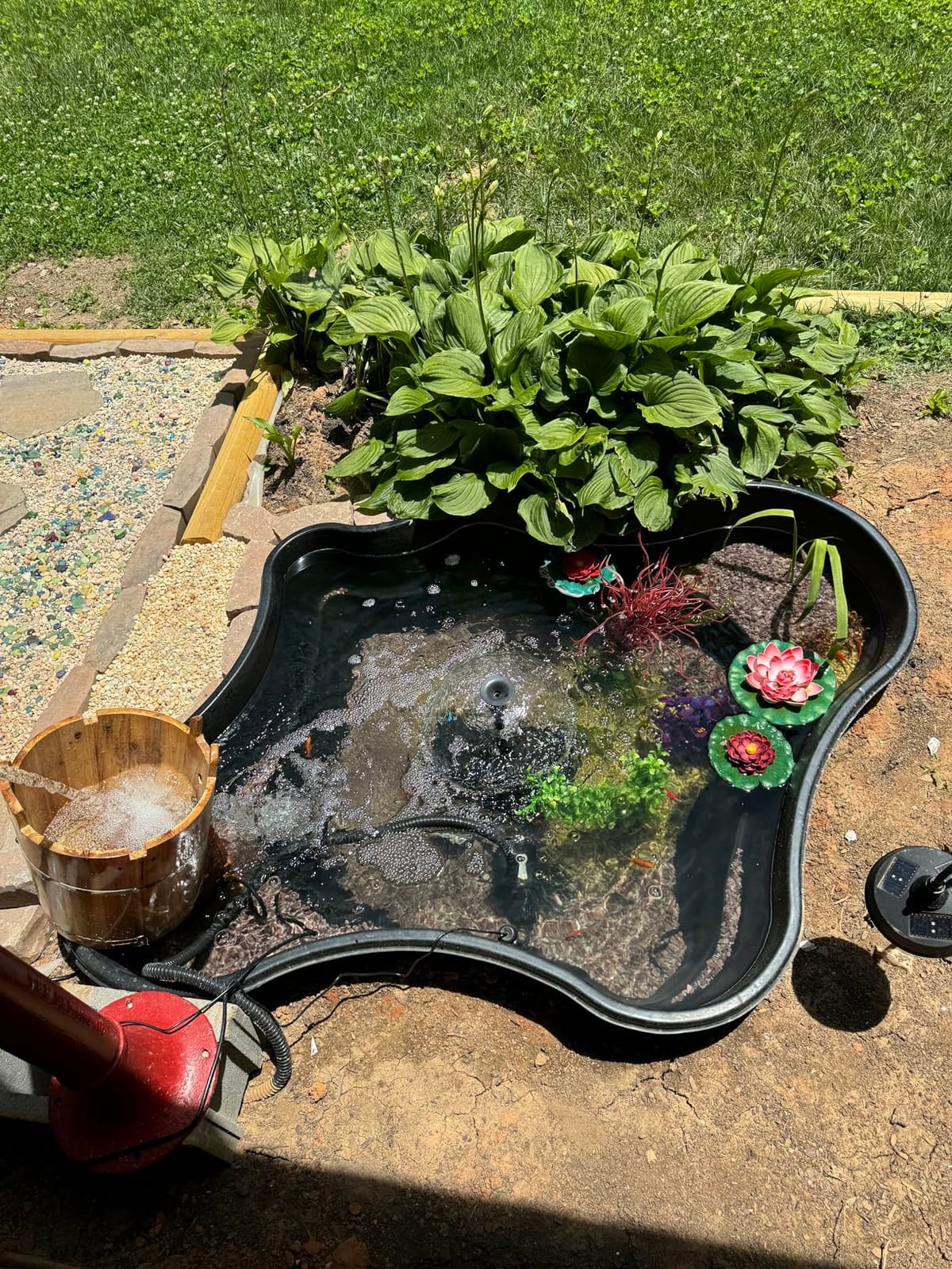 Biling Pond Filter with Fountain Pump Kits, 660GPH Koi Pond Filter with 40W Pond Pumps for Outdoor Ponds customer photo 2