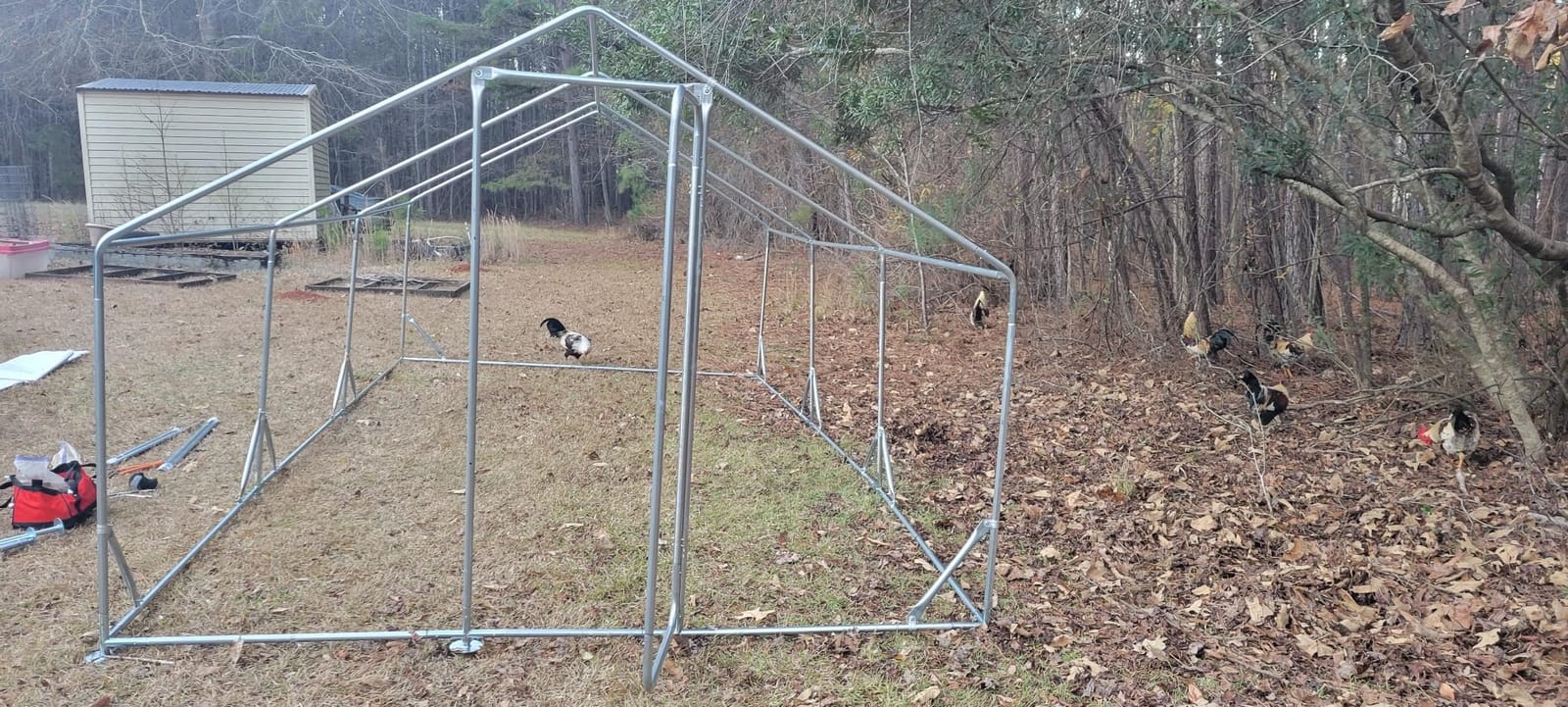 Quictent Large Metal Chicken Coop Run for 20+ Poultry w/Side Hardware Cloth | Waterproof Cover, Advanced Series Outdoor Walk-in Cage Hen Duck Rabbit Dog Pen Yard Farm House, 12x9x6.6FT customer photo 1