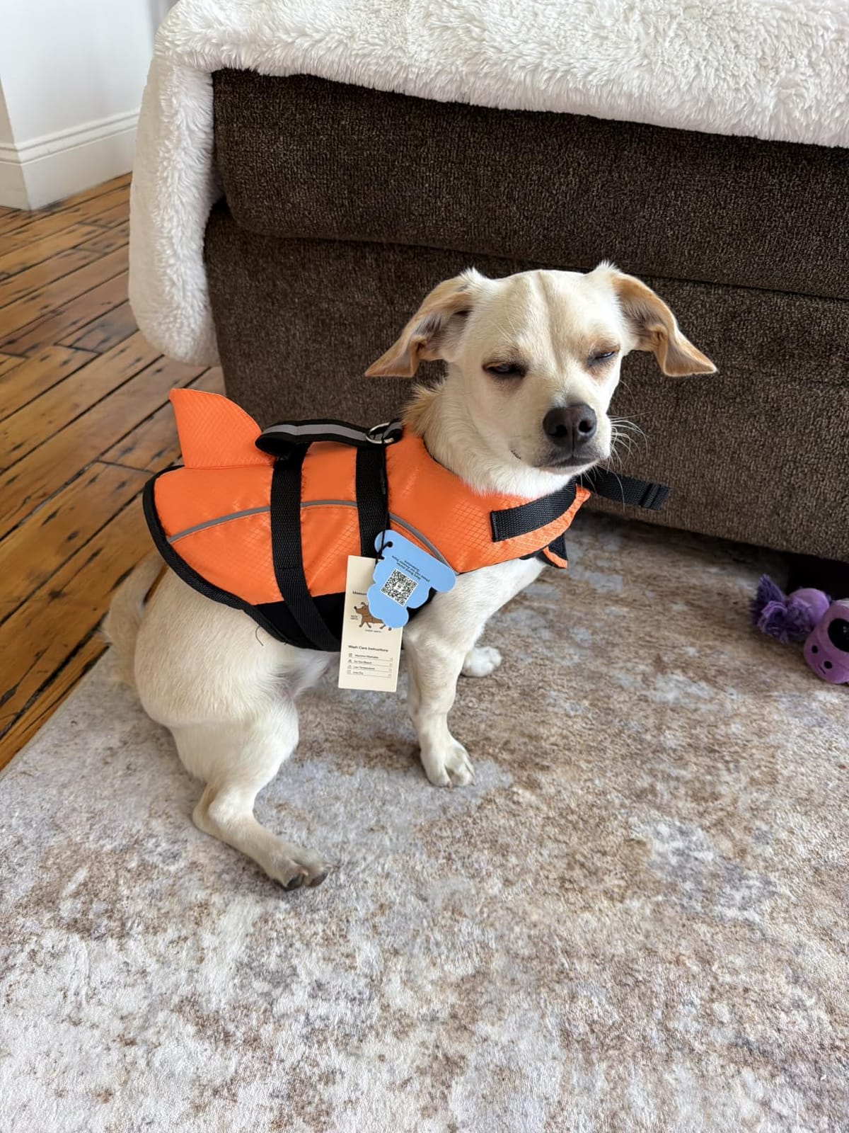 Queenmore Small Dog Life Jacket Shark Light Puppy Life Vest for Swimming | Dog Life Vest for Boating Kayaking Canoeing - High Buoyancy Reflective Pet Lifesaver with Rescue Handle/ Leash Hook Pink, S customer photo 2