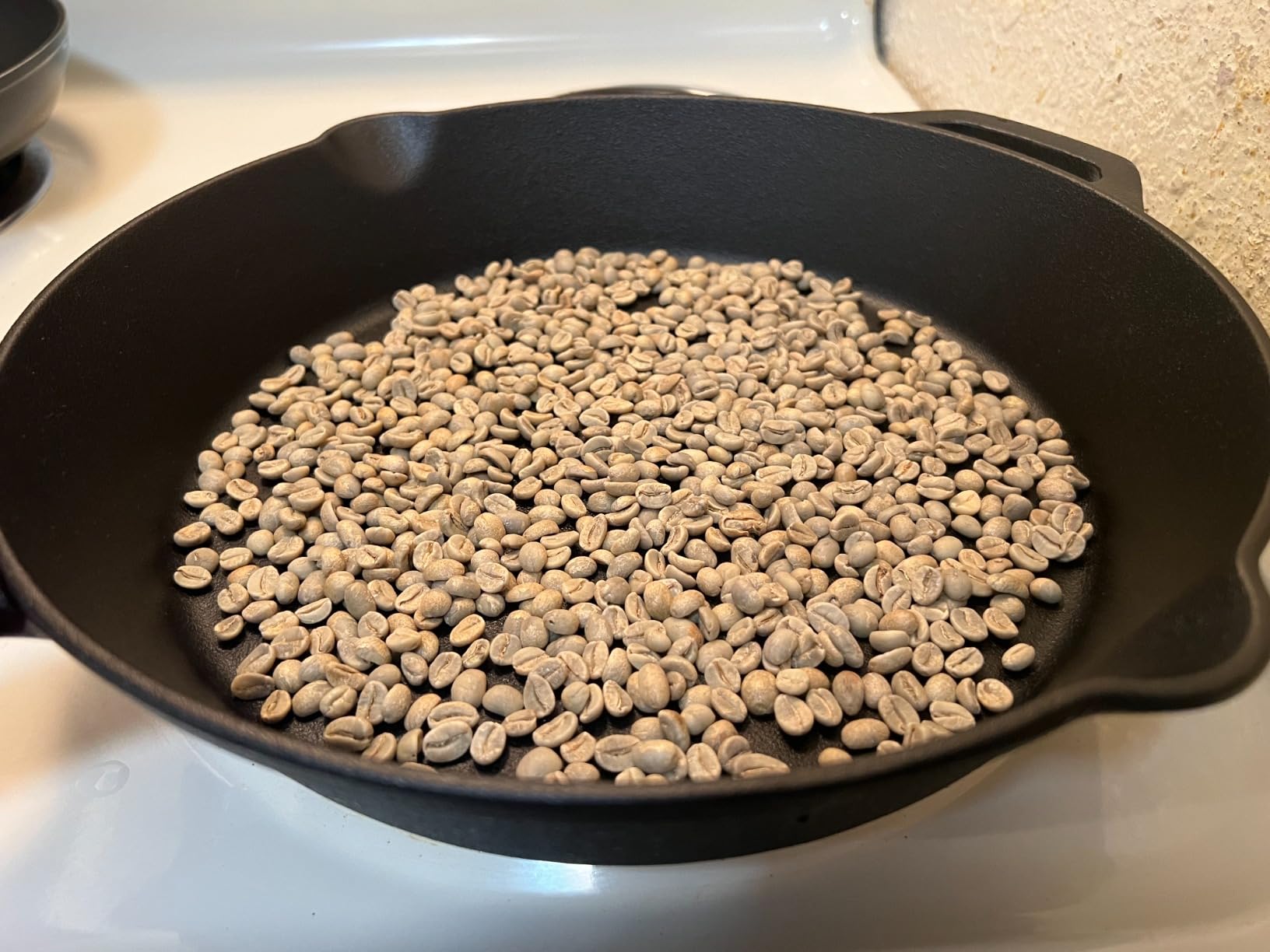 Roastika - Unroasted Coffee Bean - 4lb (pack of 4) - Sampler Pack - Bundle 2A (COSTA RICA TARRAZU/MEXICO CHIAPAS HG EP/ETHIOPIA YIRGACHEFFE/TANZANIA PEABERRY KILIMANJARO) Green Coffee Bean customer photo 2