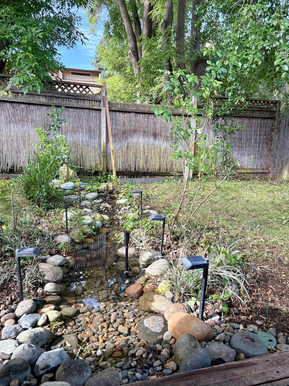 POPOSOAP Pond Filter with Pump Fountain Kits, 660GPH Pond Filter with 40W Pond Pump & Fountain Kit, Koi Pond Filters for Outdoor Ponds Clean, Clear, and Add Water Features(Corded Electric) customer photo 1