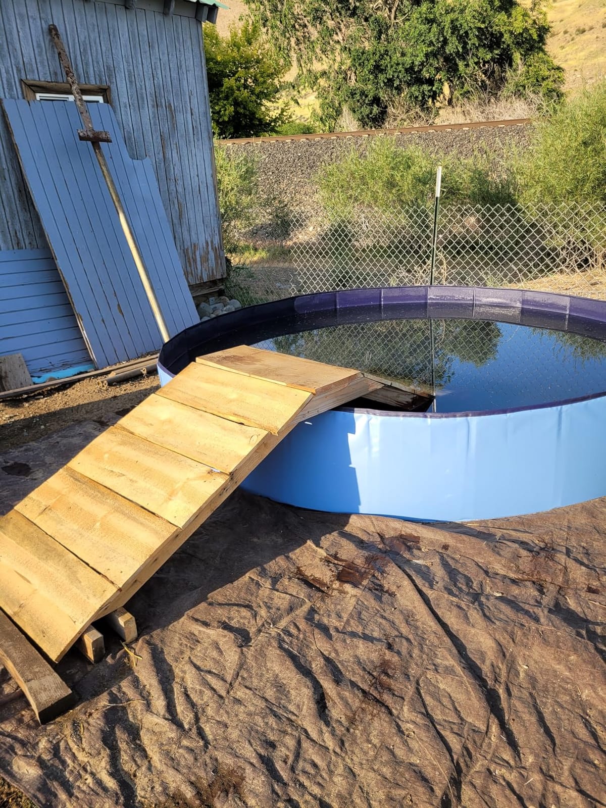 Meowant Extra Large Dog Pool Foldable 97'', Hard Plastic Kiddie Pool | Dog Swimming Pool Collapsible Dog Pet Bath Pool, Portable Deep Dog Pools for Large Dogs (5XL-97'' × 16'') customer photo 1