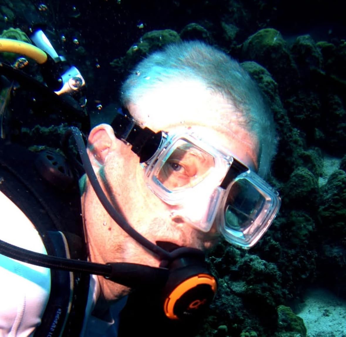 Calabria Hydrotac Dive OPTX Stick On Bifocal Lenses for Scuba Masks and Diving Goggles | Water Activated, Reusable Readers customer photo 1