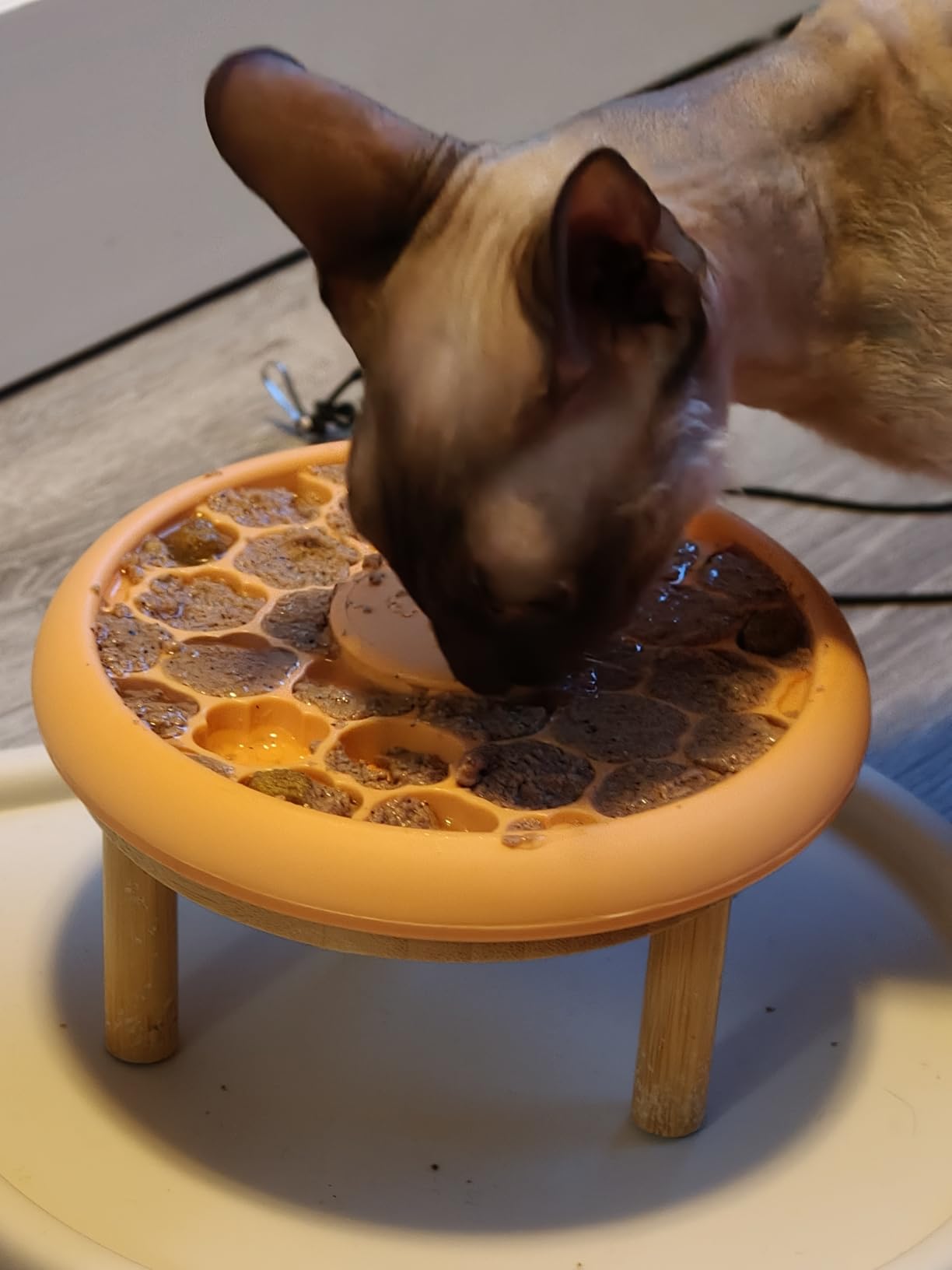Catstages Slow Feeder Bowl & Treat Puzzle Cat Toy, Aids Digestion, 6.6