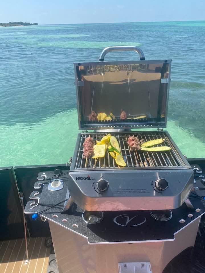 Nexgrill Tabletop 2 Burner Gas Grill, Stainless Steel with Folding Legs | 28000 BTU, Locking Lid, Push & Turn Ignition, 251 Sq In Cooking Space, LP Compatibility, For Camping & Tailgating customer photo 2