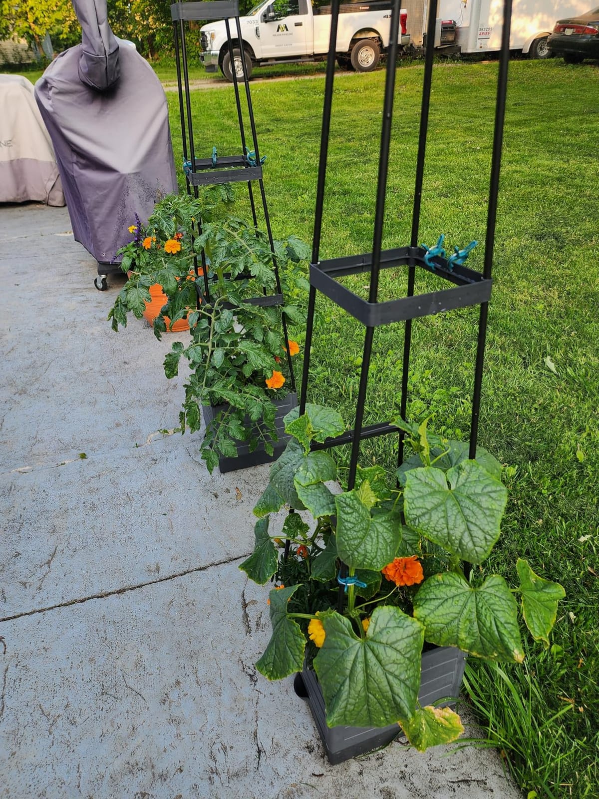 MYMULIKE 2 Pack Raised Garden Bed Planter Box with Trellis, 58
