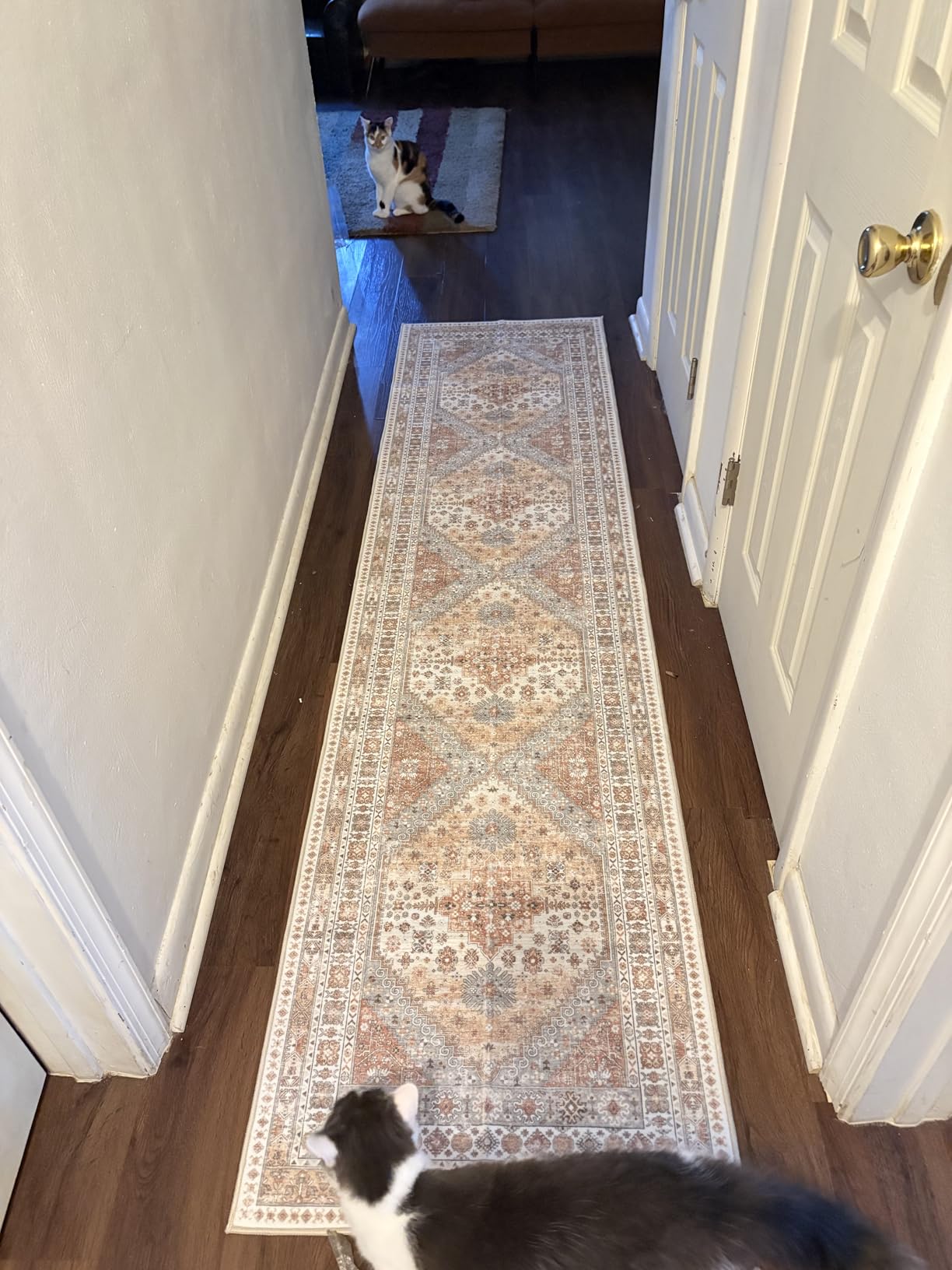 Runner Rug 2x8 Runners for Hallways Vintage Washable Rugs, Orange, Hallway Runner Rugs for Living Room Non Slip, Low Pile Soft Hallway Rug for Kitchen Bedroom Laundry Room Rug customer photo 2