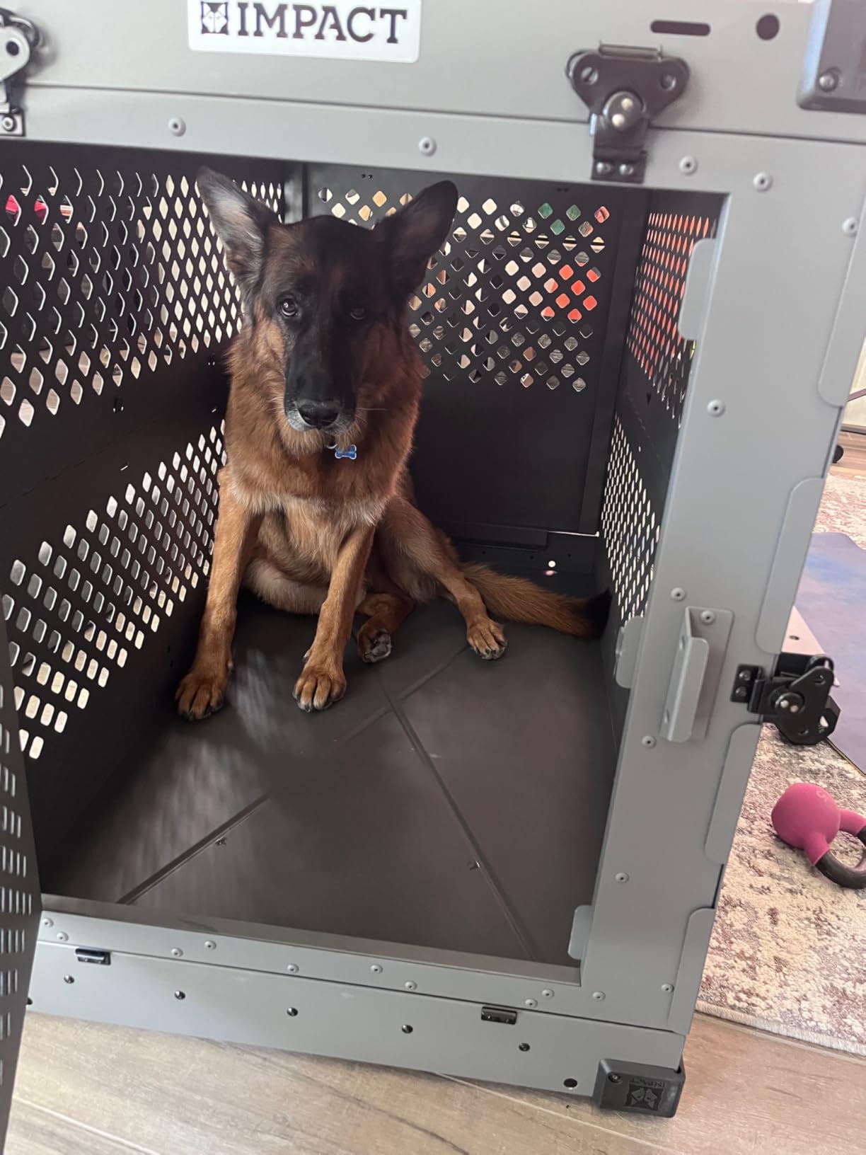 Impact Collapsible Dog Crate - Heavy Duty Travel Aluminum Kennel, Black 30