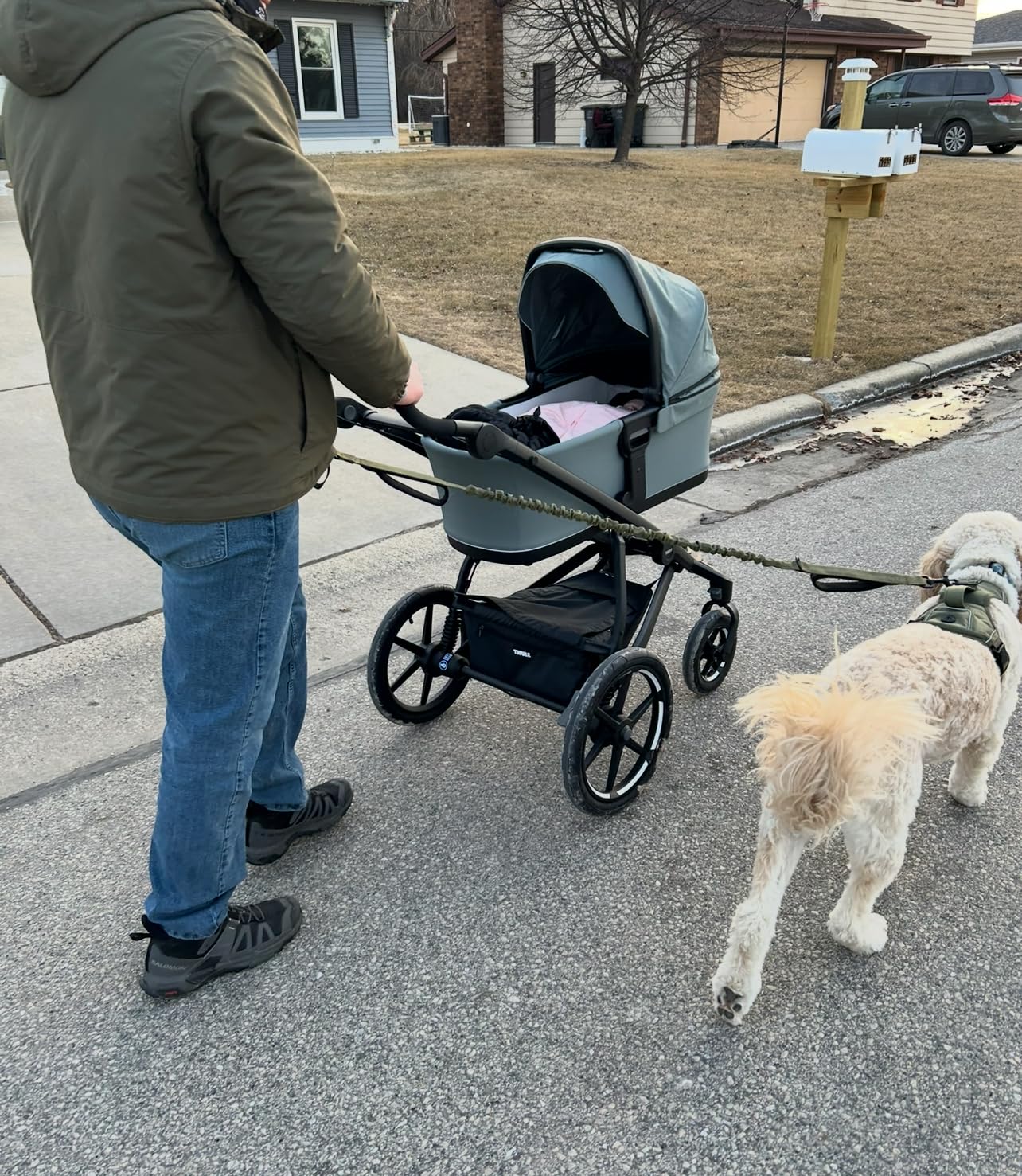 Thule Urban Glide 4-Wheel All-Terrain Stroller, Full-Suspension System customer photo 1