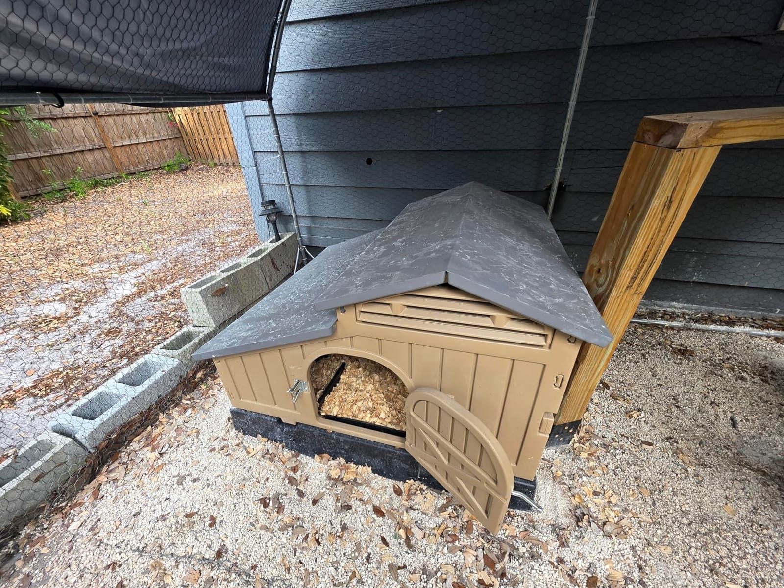 Hatching Time SnapLock Formex Standard Coop for 4 Chicken, Ventilation | Durable Plastic Hen House with Easy Assembly, Removable Tray & Walk-in Access, Lightweight Outdoor Casa para Gallinas customer photo 2