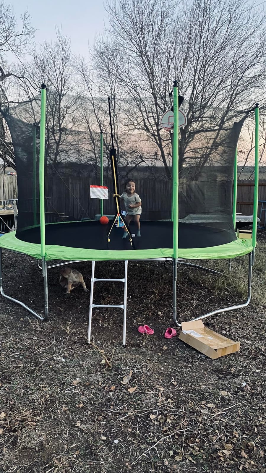 Lyromix Upgraded 16FT 15FT 14FT 12FT 10FT 8FT Trampoline Outdoor with Basketball Hoop and Net, Capacity for 4-6 Kids and Adults customer photo 2