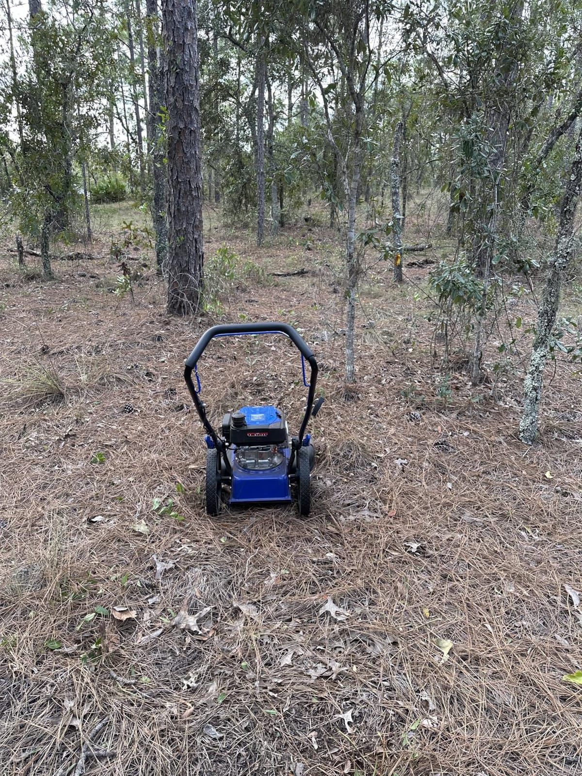 BILT HARD Walk Behind String Trimmer, 170cc 4-Cycle Gas Brush Hog Mower, 22 Inch Cutting Diameter, Push Weed Eater with 14 Inch Flat Free Wheels, Brush Cutter for Farm, Lawn, Yard customer photo 1