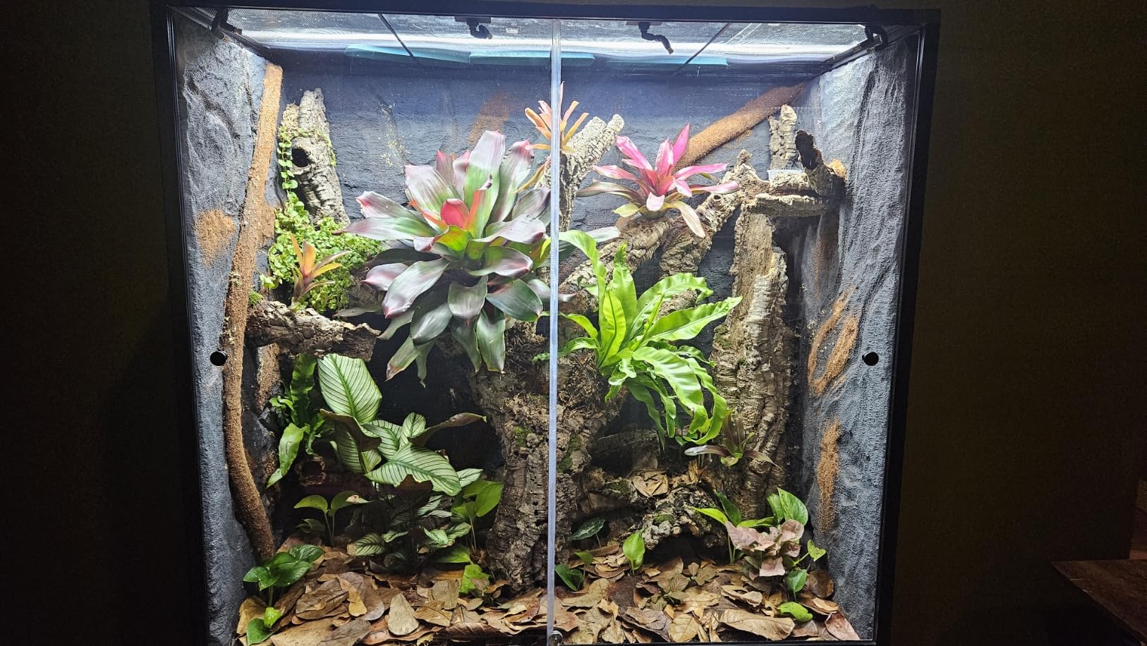 Reptile Misting System with Timer, 6 Adjustable-Joint Nozzles, Self-Priming Pump, Quiet Fine Mist for Chameleons, Geckos, Frogs & Terrariums customer photo 2