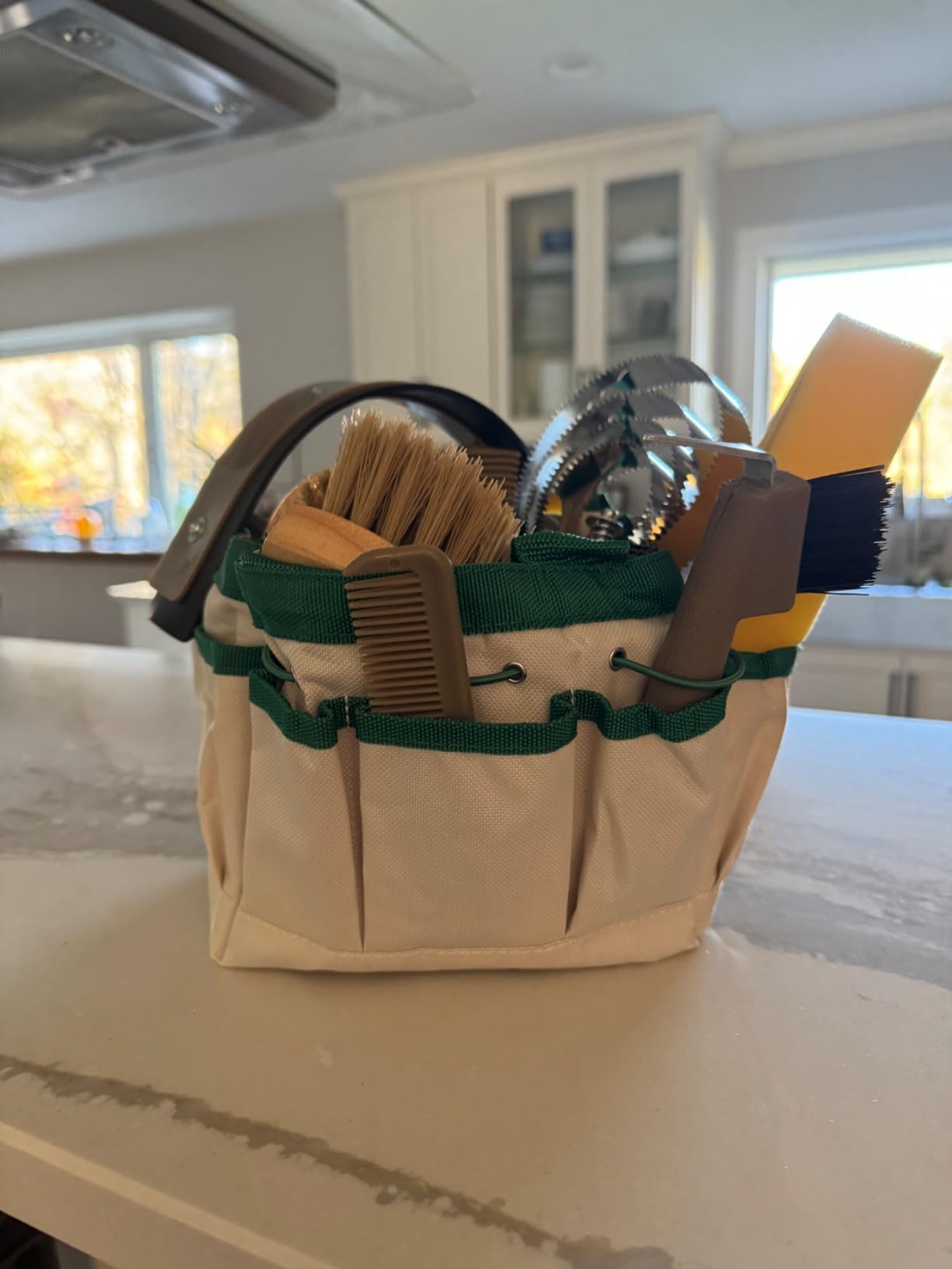 Professional 10 Pieces Horse Grooming Kit with Tote Bag, Horse Brush & Curry Comb Set for Effective Grooming and Bathing, Equine Coat Care Tack Room Supplies, Horse Gifts for Girls customer photo 2