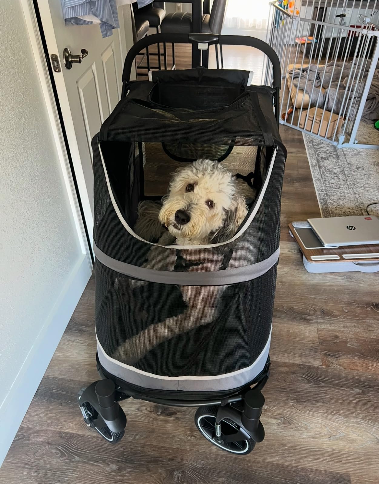 Dog Stroller for Medium/Large Dogs One-Click Folding, Extra Large Pet Stroller for 2 Dogs with Storage Pocket & Shock Absorption, Up to 130 lbs, Grey customer photo 1