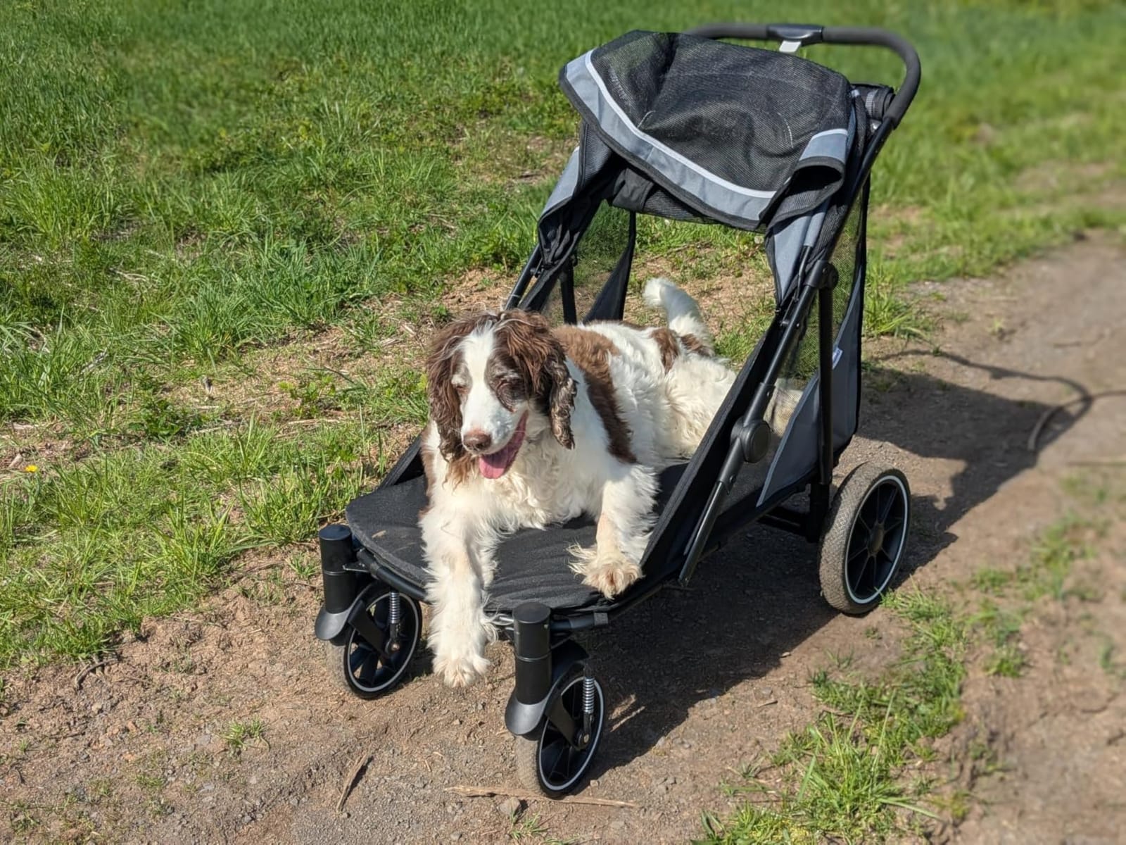 Dog Stroller for Medium/Large Dogs One-Click Folding, Extra Large Pet Stroller for 2 Dogs with Storage Pocket & Shock Absorption, Up to 130 lbs, Grey customer photo 2