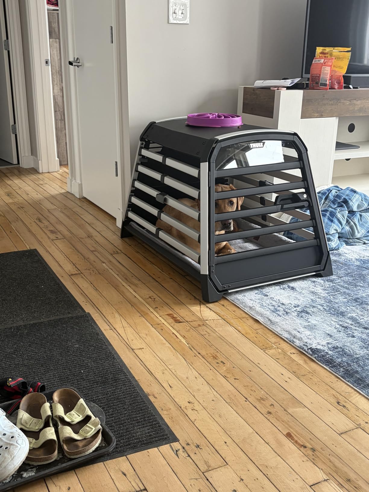 Thule Allax Dog Crate S - High-Strength Vehicle Travel Dog Crate customer photo 1