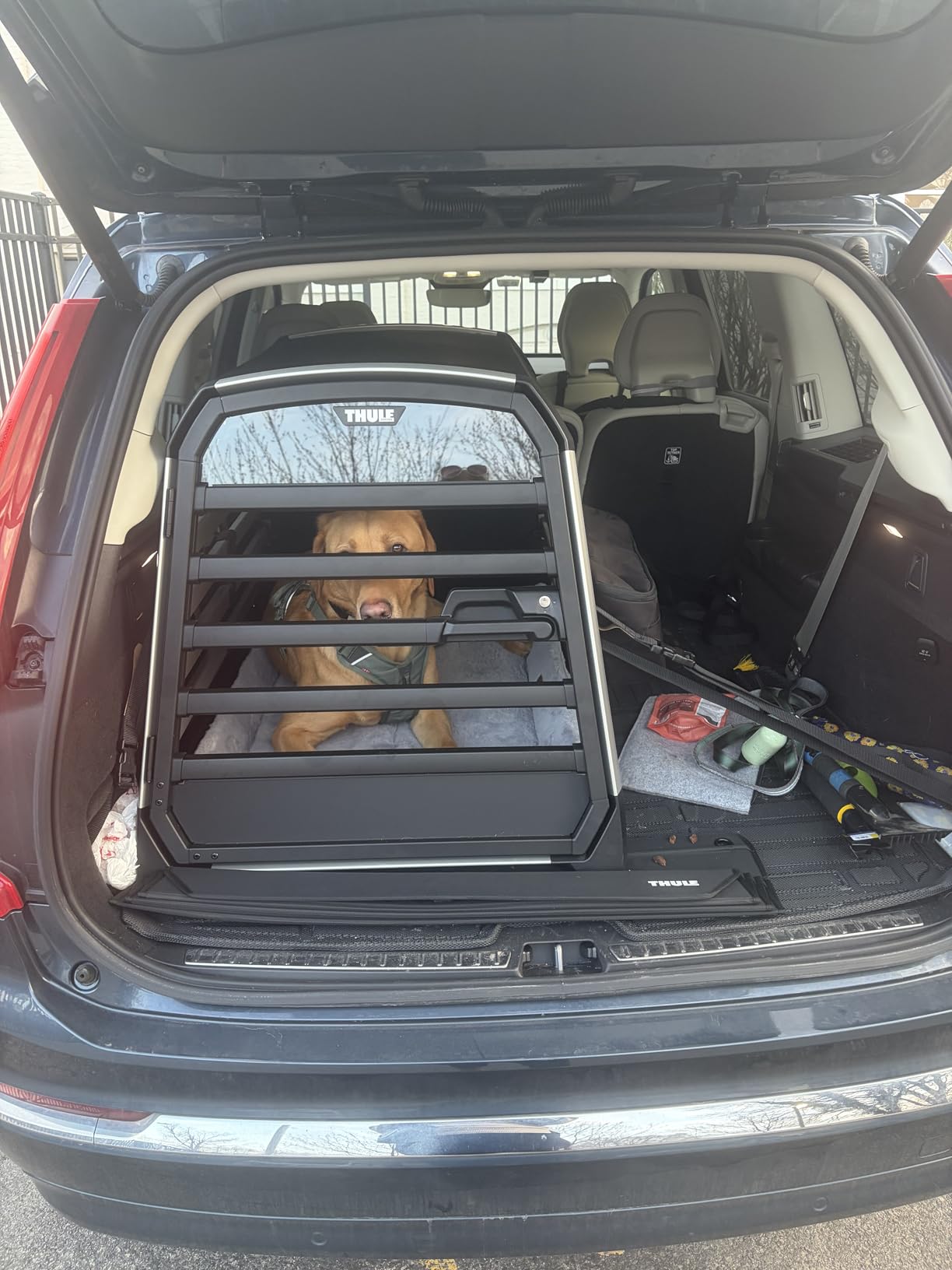 Thule Allax Dog Crate S - High-Strength Vehicle Travel Dog Crate customer photo 2