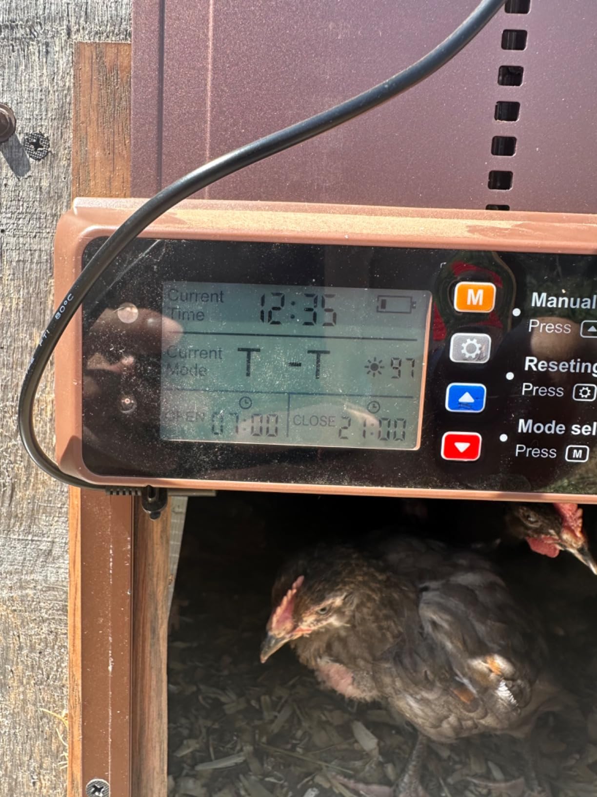 Automatic Chicken Coop Door Solar Powered with Timer & Light Sensor | Automatic Chicken Door with LCD Display, Solar Chicken Coop Door with Remote Control, Anti-Pinch Function & Made of Al-Alloy customer photo 2