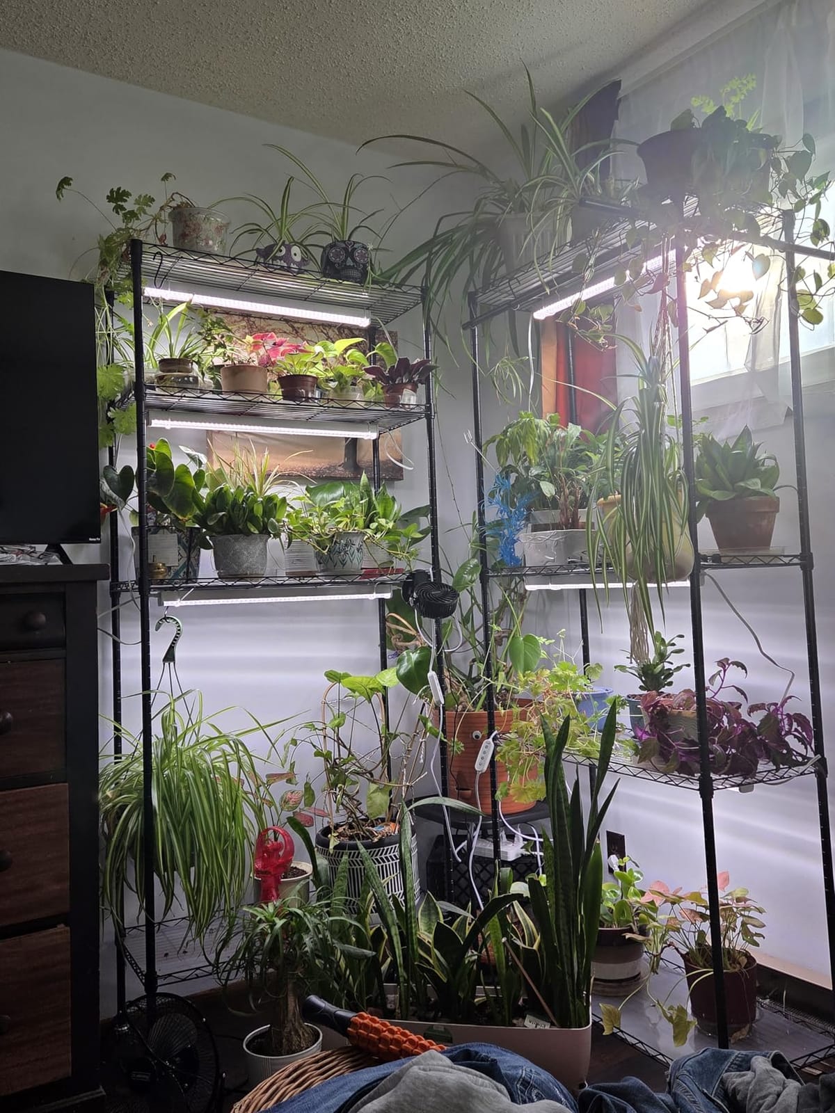 Plant Shelf with Grow Light, 4-Tier with Hanging Rod, 30x14x72.9IN | Metal Grow Light Shelf with Adjustable Rack, 6000K T12 LED Full Spectrum Grow Lights for Seed Starting, Vegs, Built-in Timer customer photo 1