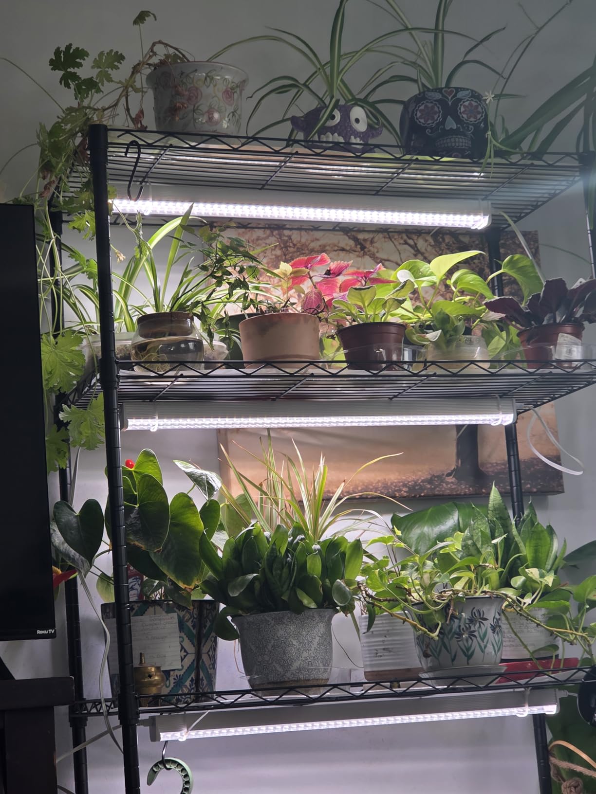 Plant Shelf with Grow Light, 4-Tier with Hanging Rod, 30x14x72.9IN | Metal Grow Light Shelf with Adjustable Rack, 6000K T12 LED Full Spectrum Grow Lights for Seed Starting, Vegs, Built-in Timer customer photo 2