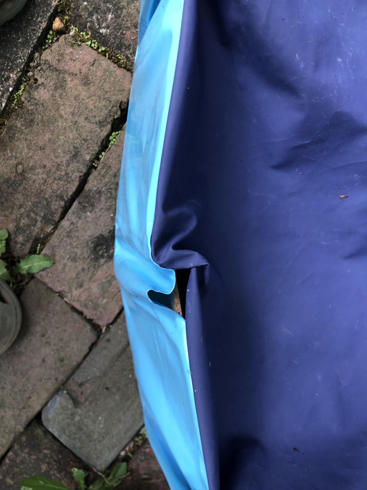 Dog Pool Foldable pet Pool Dog Swimming Pool pet Swimming Pool PVC Non-Slip for All Kinds of Pets (32x8in) customer photo 1