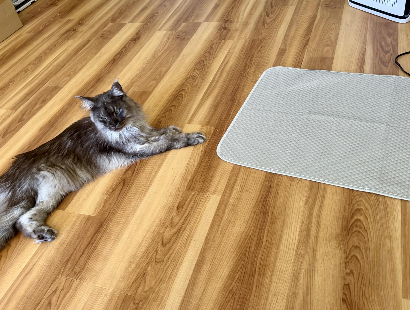 Buvlnee Summer Dog Cooling Mat, Washable Ice Silk Self Cool Pad for Small Medium Large Dogs and Cats, 24x18in Pet Sleeping Pad for Crate, Bed, Indoor & Outdoor Floor, Car Seats customer photo 2