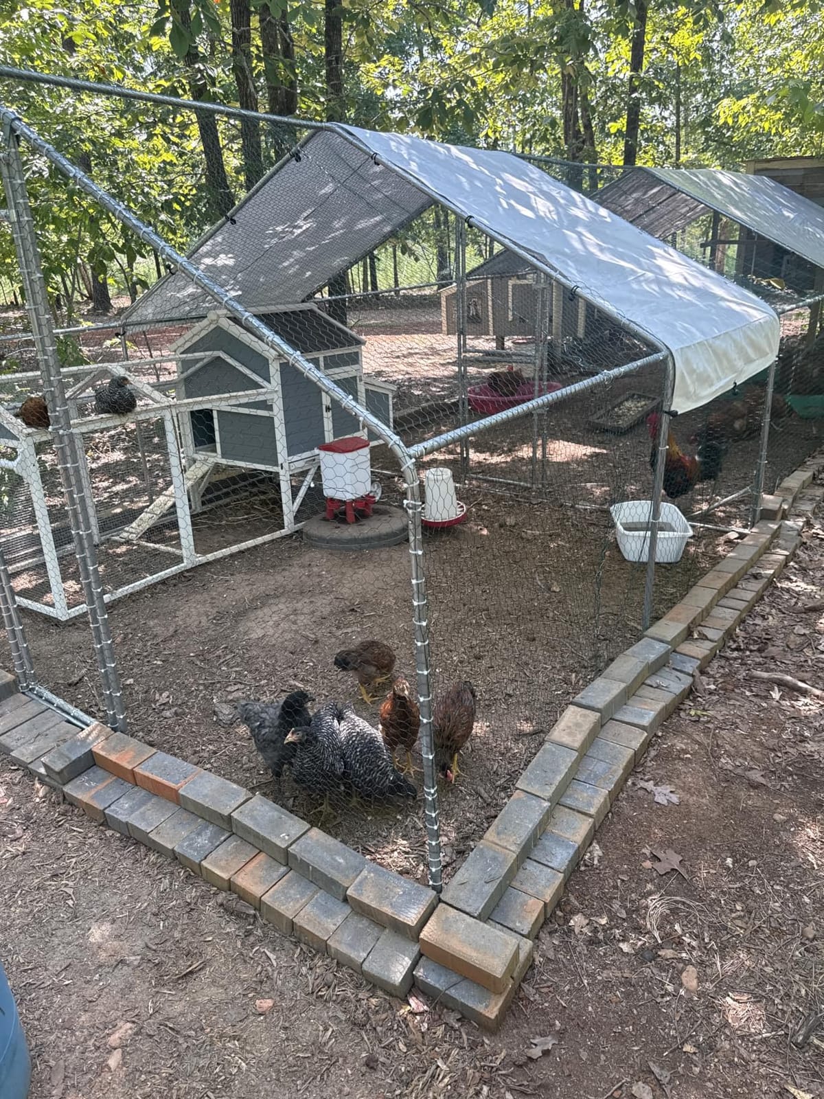 Outvita Chicken Coop, 13x10 FT Large Metal Chicken House, Poultry Habitat Cage with Waterproof Cover, Walk-in Chicken Run Pen for Small Animals, Yard, Farm, Patio customer photo 2
