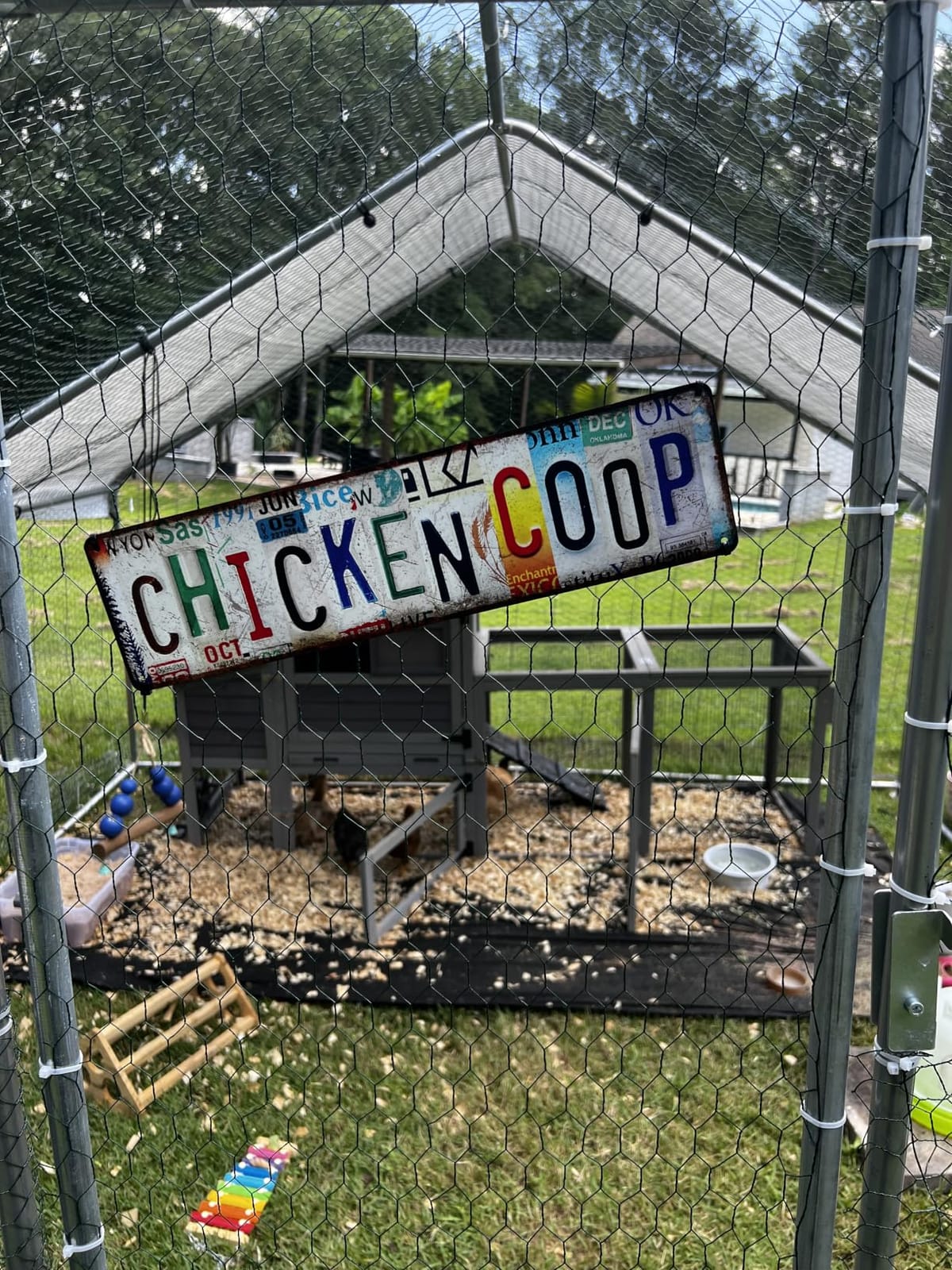 Outvita 10 x 10 FT Metal Chicken Coop Walk-in Poultry Run Pen | Waterproof Cover and Large Habitat Design Support Chickens and Small Animals in Yard, Farm, or Patio customer photo 1