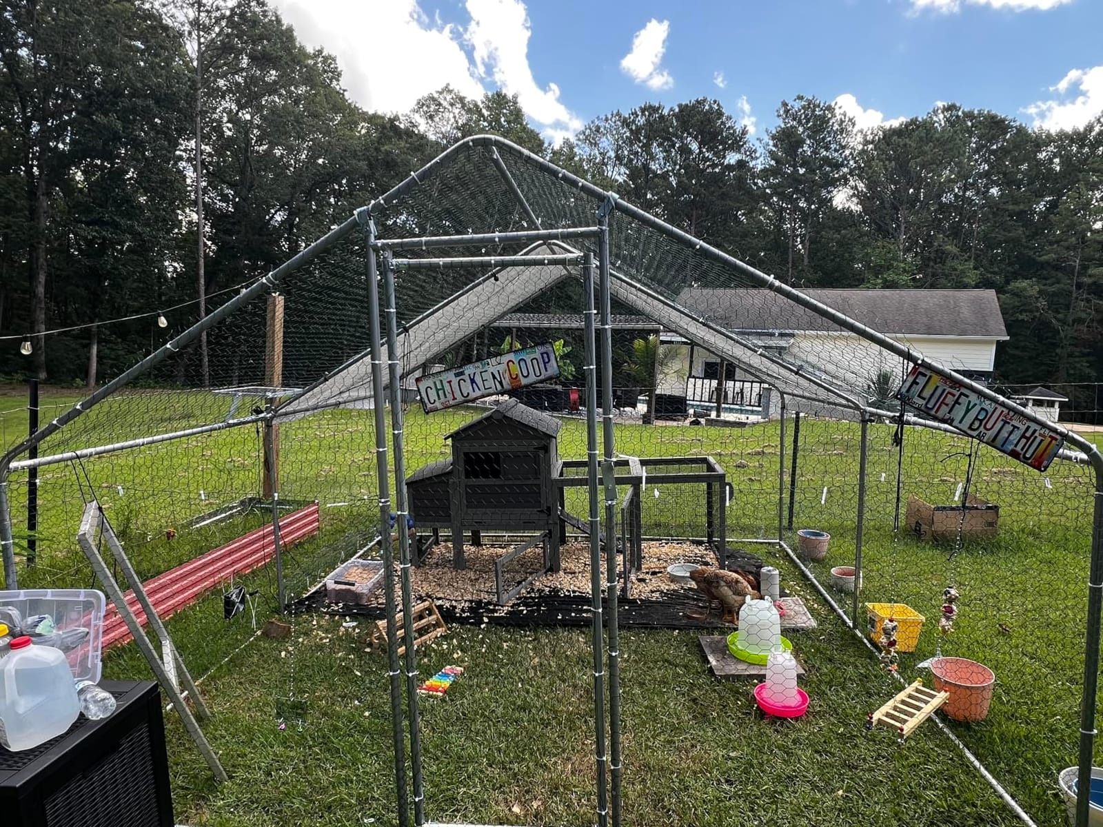 Outvita 10 x 10 FT Metal Chicken Coop Walk-in Poultry Run Pen | Waterproof Cover and Large Habitat Design Support Chickens and Small Animals in Yard, Farm, or Patio customer photo 2