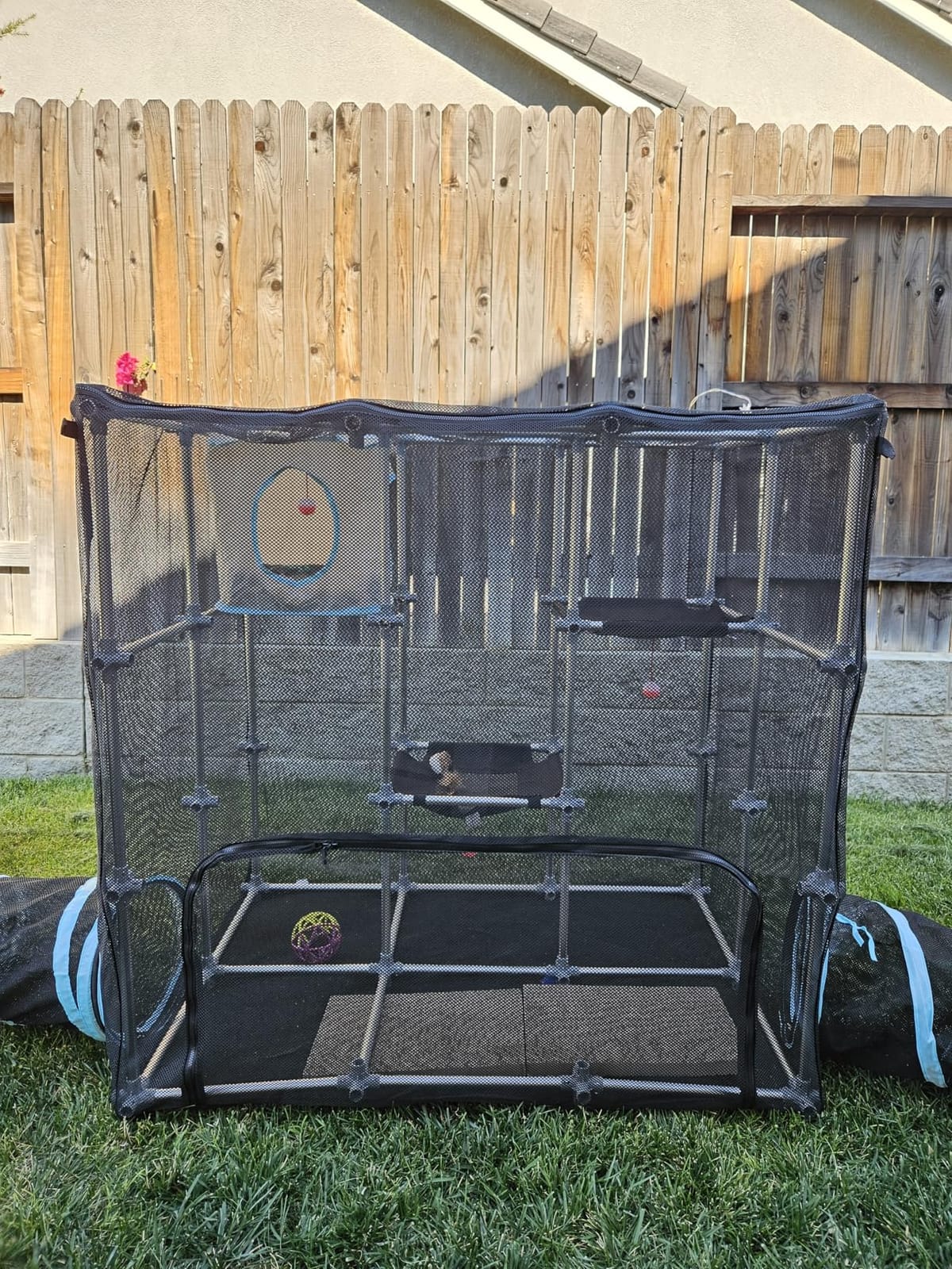 INTURN Catio Outdoor Cat Enclosure, Mega Kit for Outdoor and Indoor (Mega Kit) customer photo 1