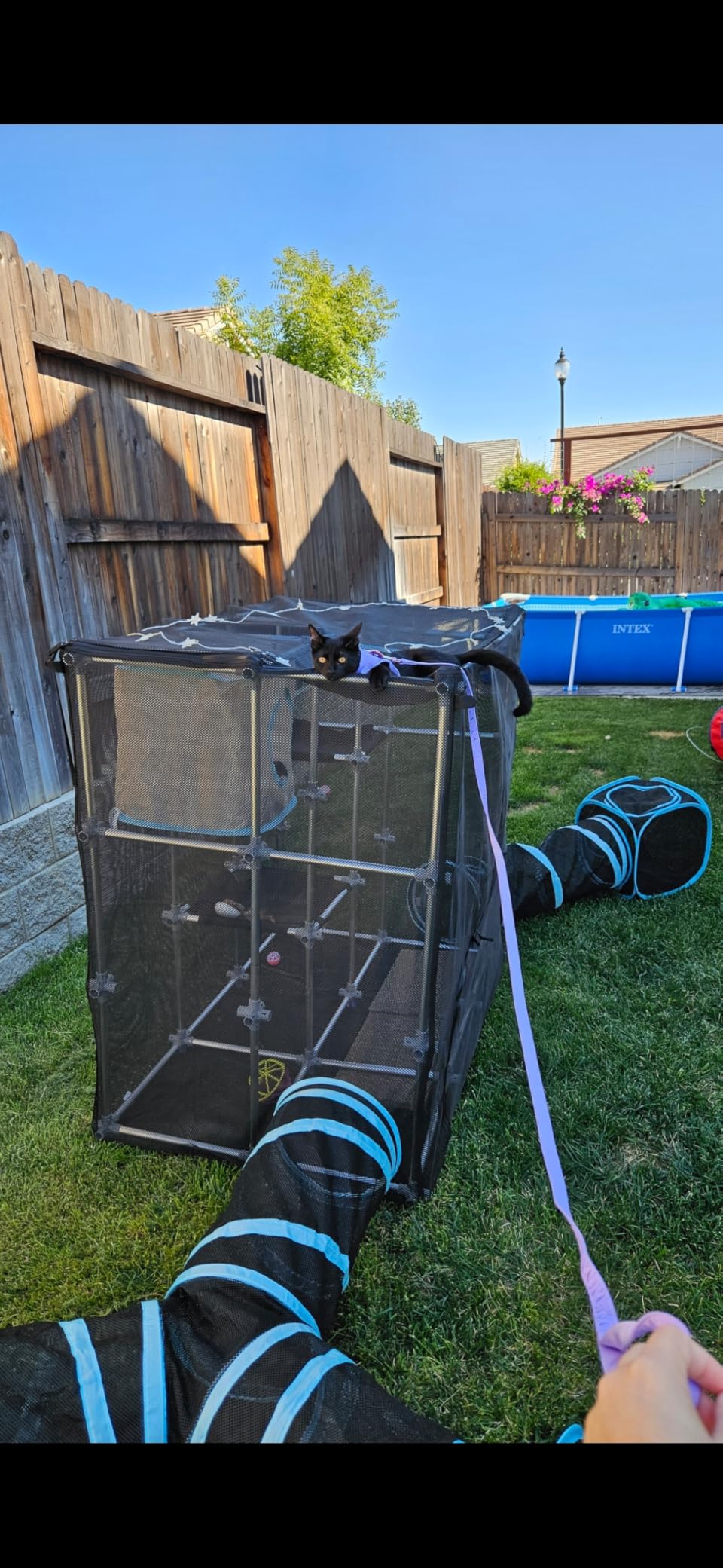 INTURN Catio Outdoor Cat Enclosure, Mega Kit for Outdoor and Indoor (Mega Kit) customer photo 2