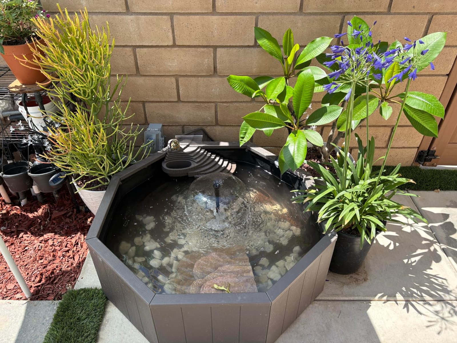 Aquagarden No Dig Nature Pool, Complete Water Feature Kit, Attract Birds and Wildlife to Your Yard, Includes Pond Structure, Liner, Fountain Pump, Nature Ladder, Planting Pocket customer photo 1