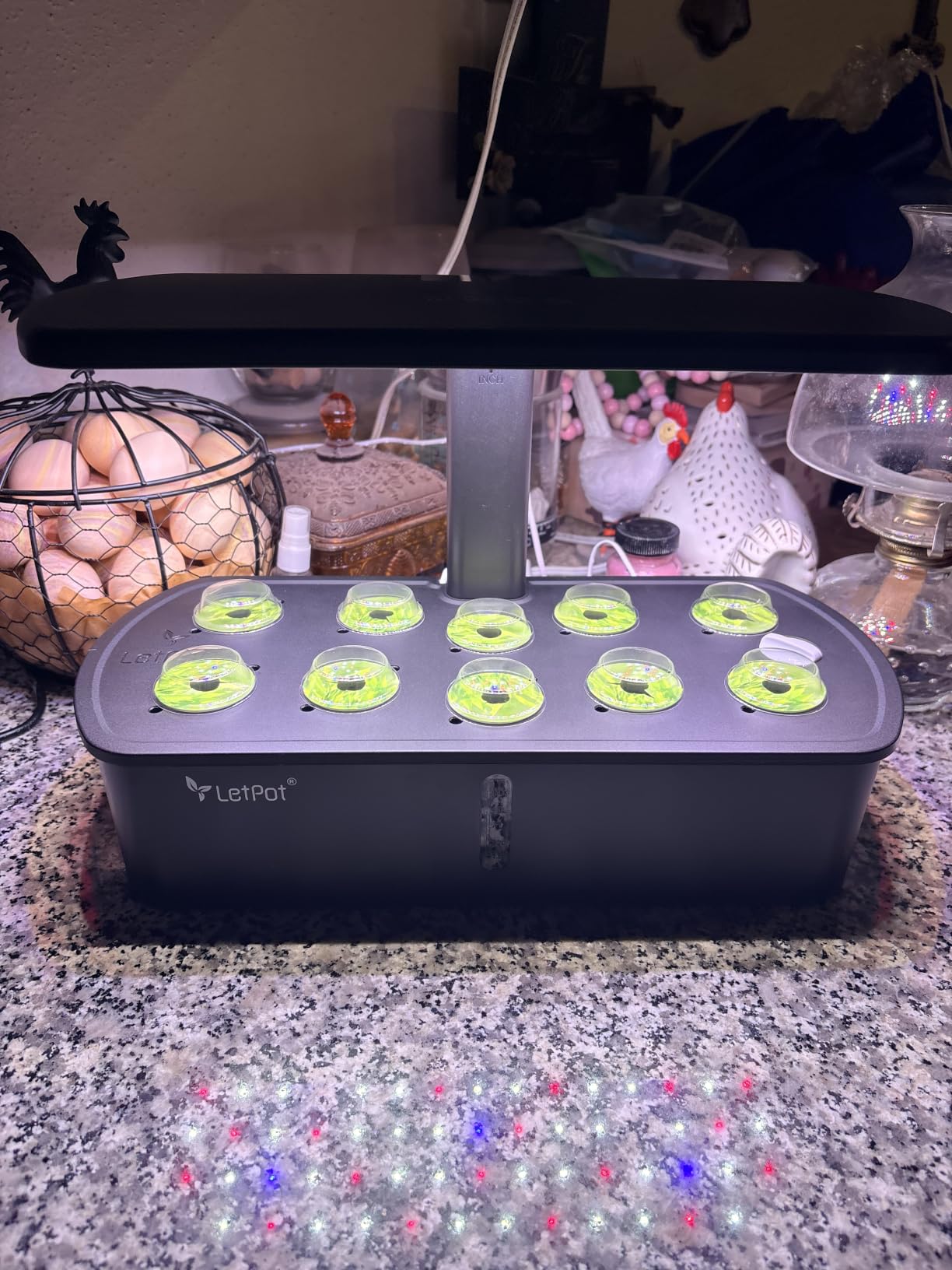 LetPot LPH-Air Hydroponics Growing System Kits, APP & WiFi Controlled Smart Indoor Garden with 24W Grow Light, 10 Pods customer photo 2