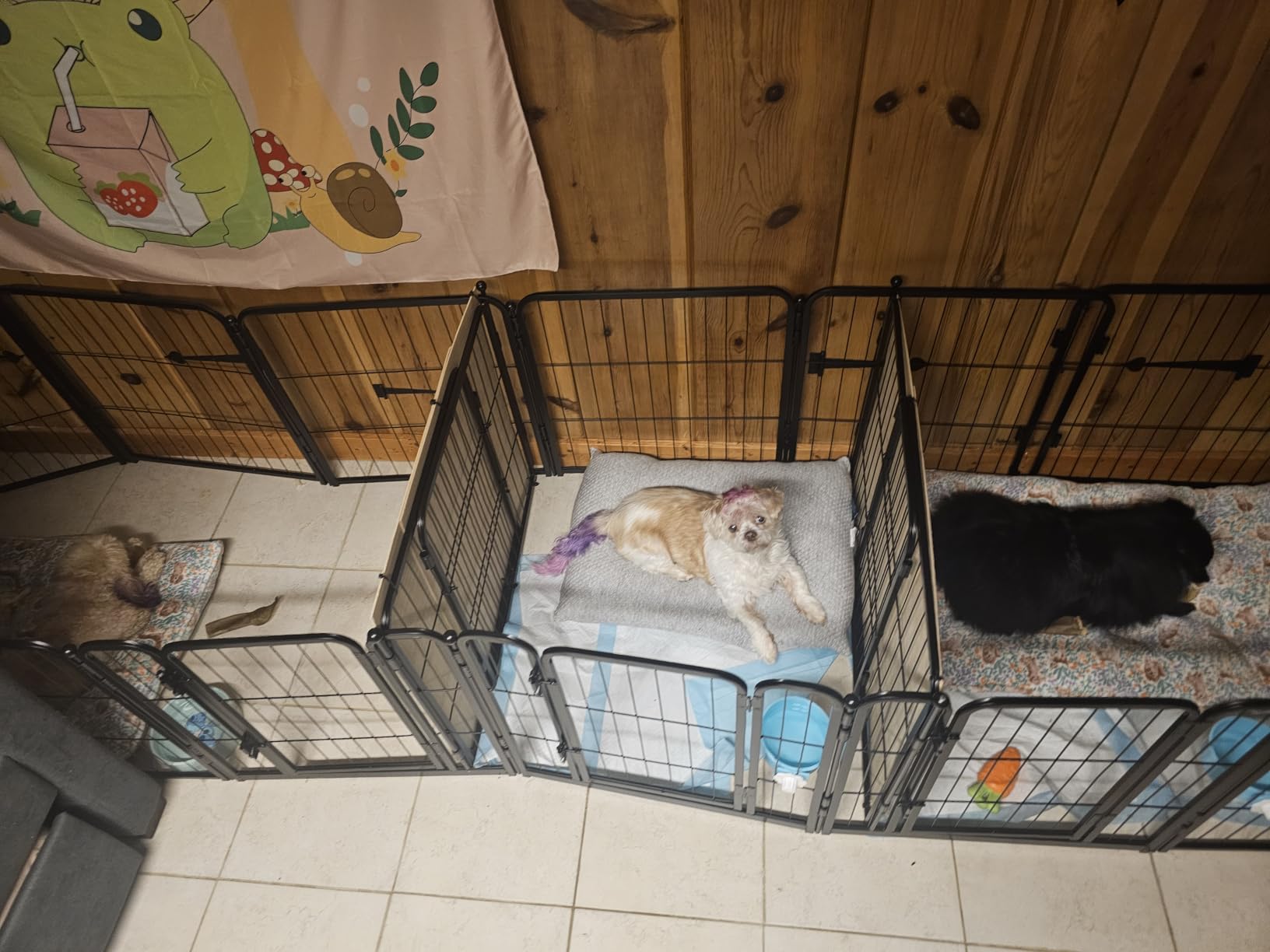 FXW Homeplus Indoor Dog Playpen, 45