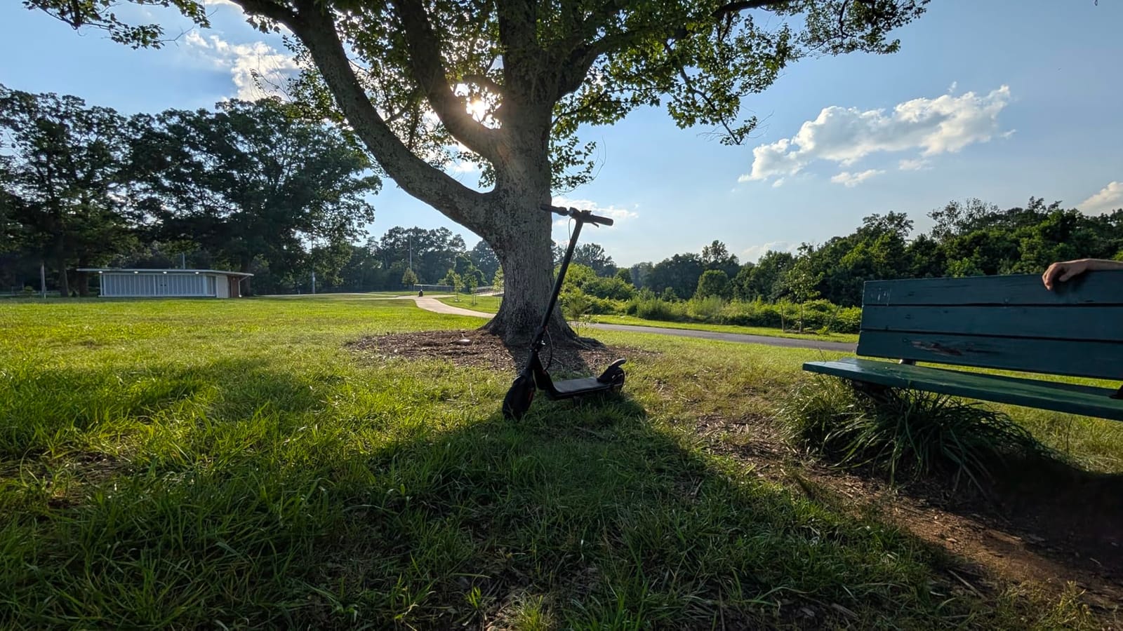 iScooter Electric Scooter for Adults, Foldable E-Scooter for Commuting | Cruise control, Smart App, dual braking, LED lights, and easy folding for daily commuting, campus travel and city rides customer photo 2
