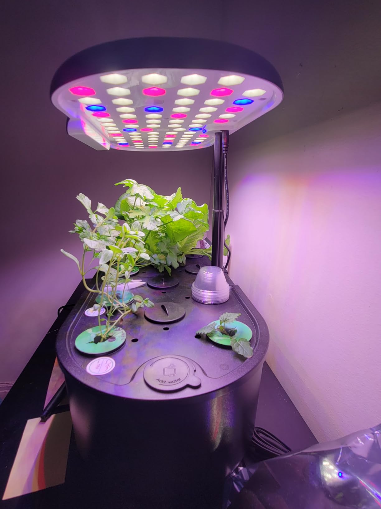 Ahopegarden Hydroponics Growing System Kit: 12 Pods Temp & Humidity Monitor, Indoor Herb Garden with Full Spectrum LED customer photo 2