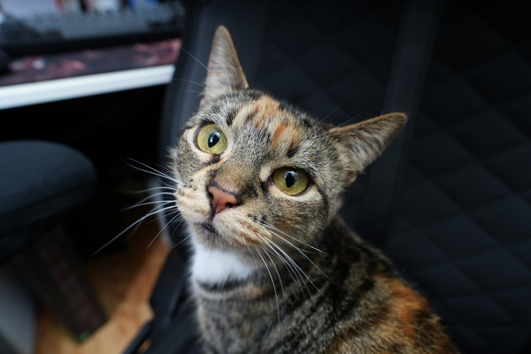 Sony FE 16-25mm f/2.8 G Lens customer photo 2