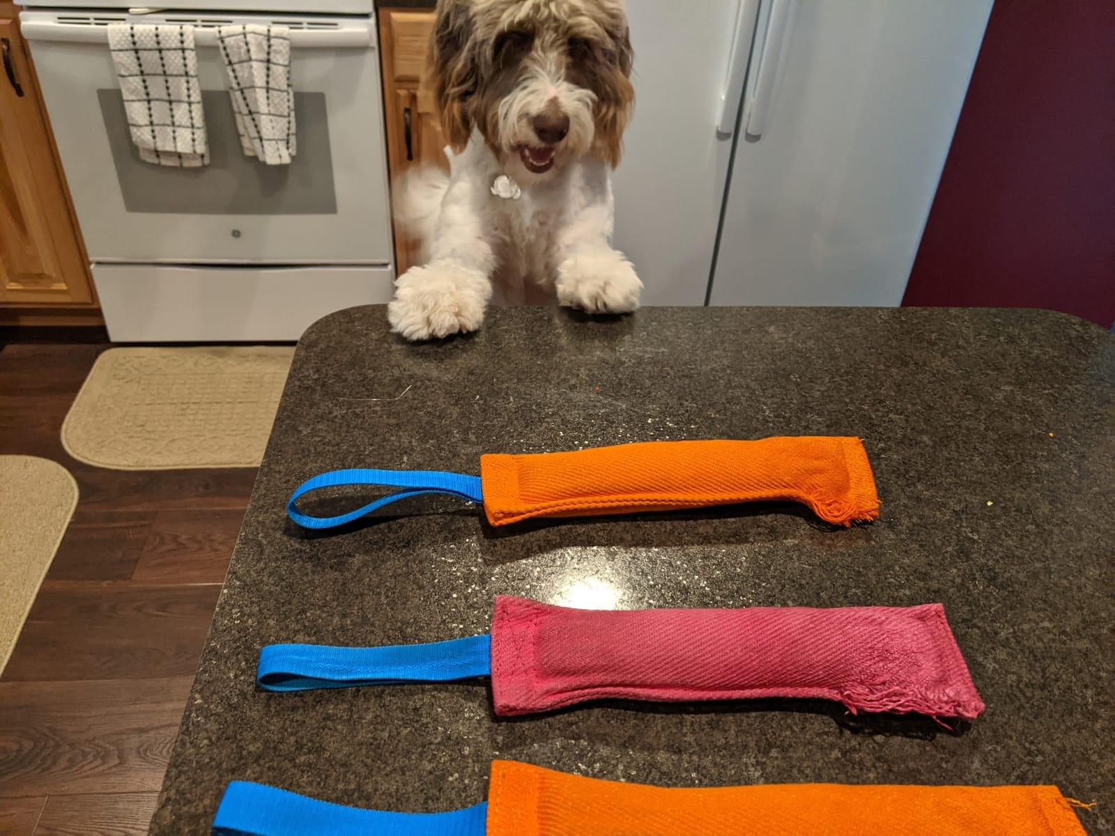 K9 Dog Bite Tug Toy - Made of Durable & Tear-Resistant French Linen - Perfect for Tug of War, Fetch & Puppy Training - Ideal for Medium to Large Dogs - Tough Pull Toy with Strong Handle & Stitching customer photo 2