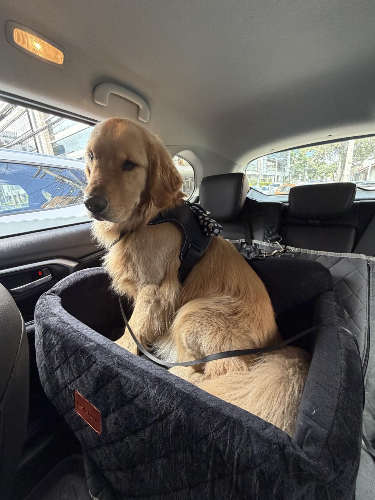 Lealchum Dog Car Seat for Large Size Dog, Soft Fabric Car Dog Bed Filling Memory Foam, 2 Clip-On Safety Leashs and 2 Pockets, Removable and Washable Comfy Pet Car Seat (Black/Brown, Large) customer photo 2