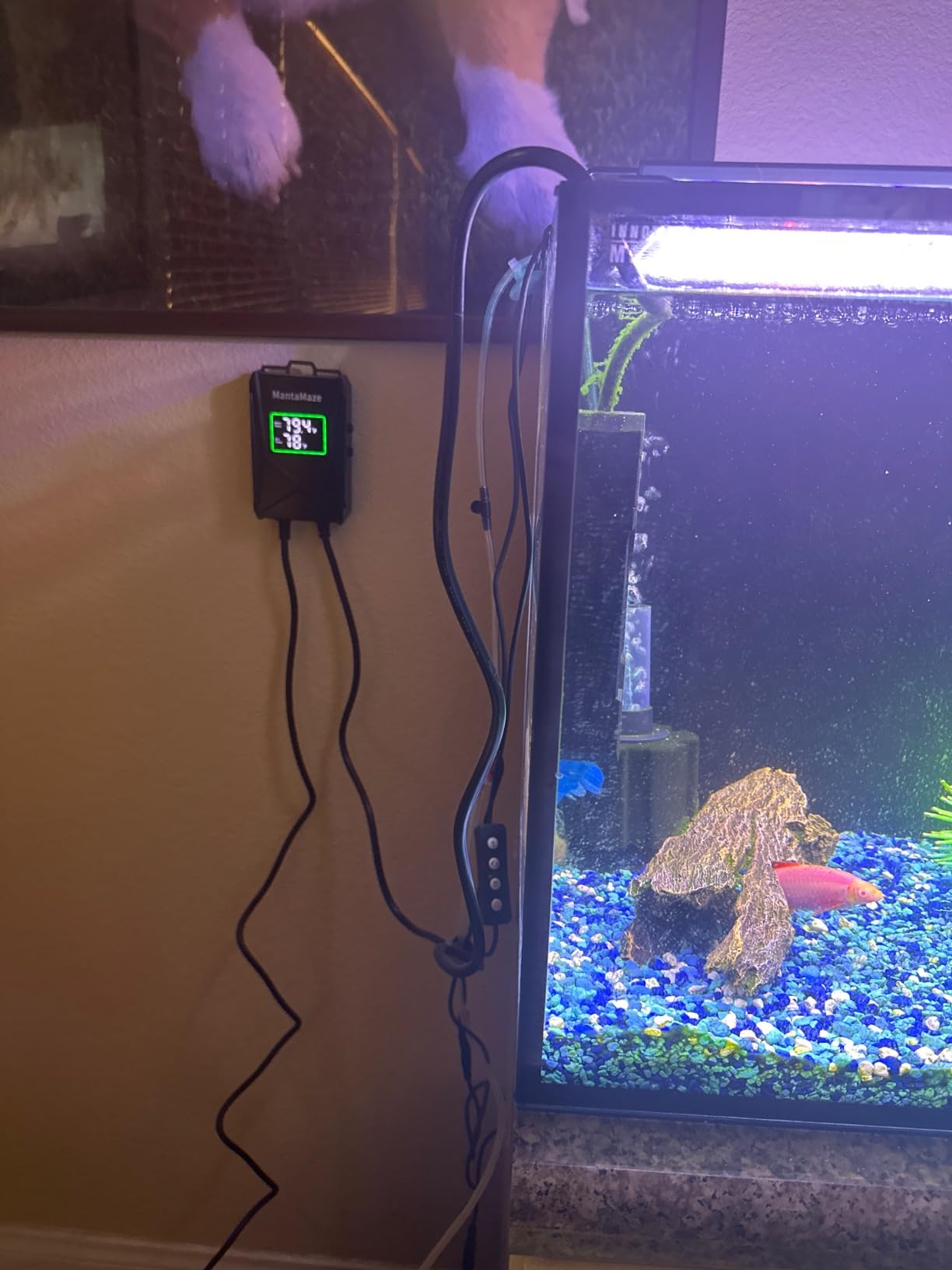 Submersible Aquarium Heater, 300W/500W/800W/1000W Fish Tank Heater | 20-300 Gal Aquarium Heater for Fresh & Saltwater, Intelligent Leaving Water Automatic Stop Heating, Overheating Protection customer photo 2