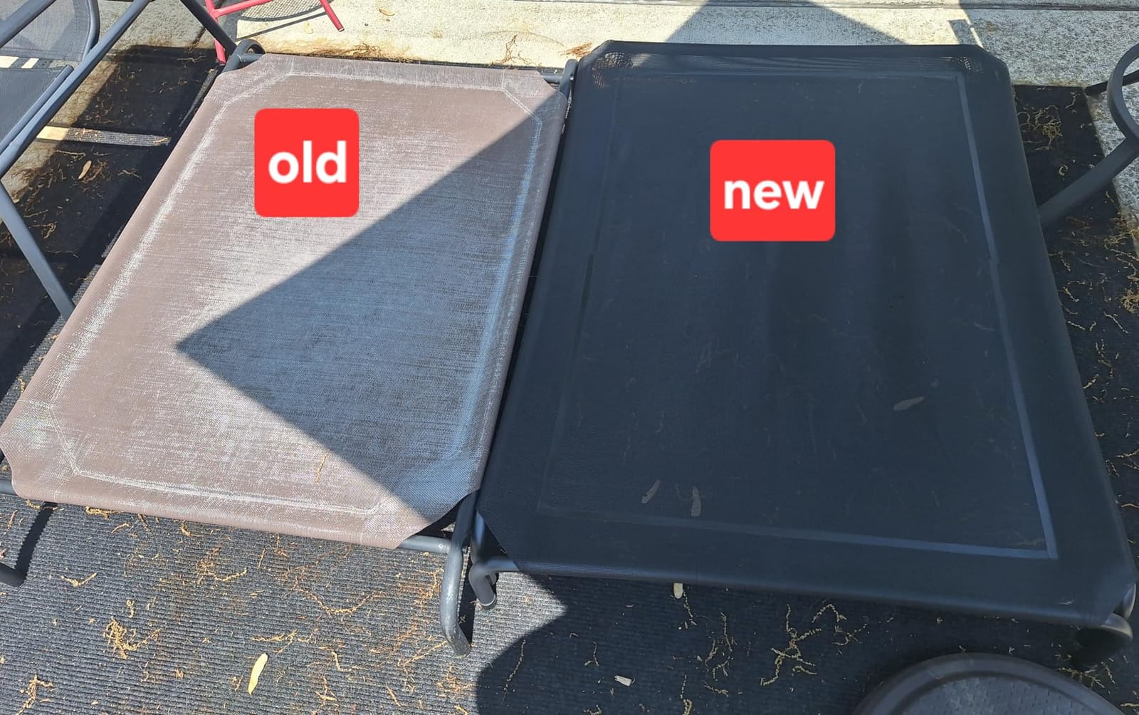 Elevated Dog Bed Raised Outdoor Dog Cot for Large Dogs, Installation Requires No Tools, Frame with Washable Cooling Breathable Mesh Anti-Slip Feet, Indoor Pet Bed, Black, 43.3 Inches customer photo 1