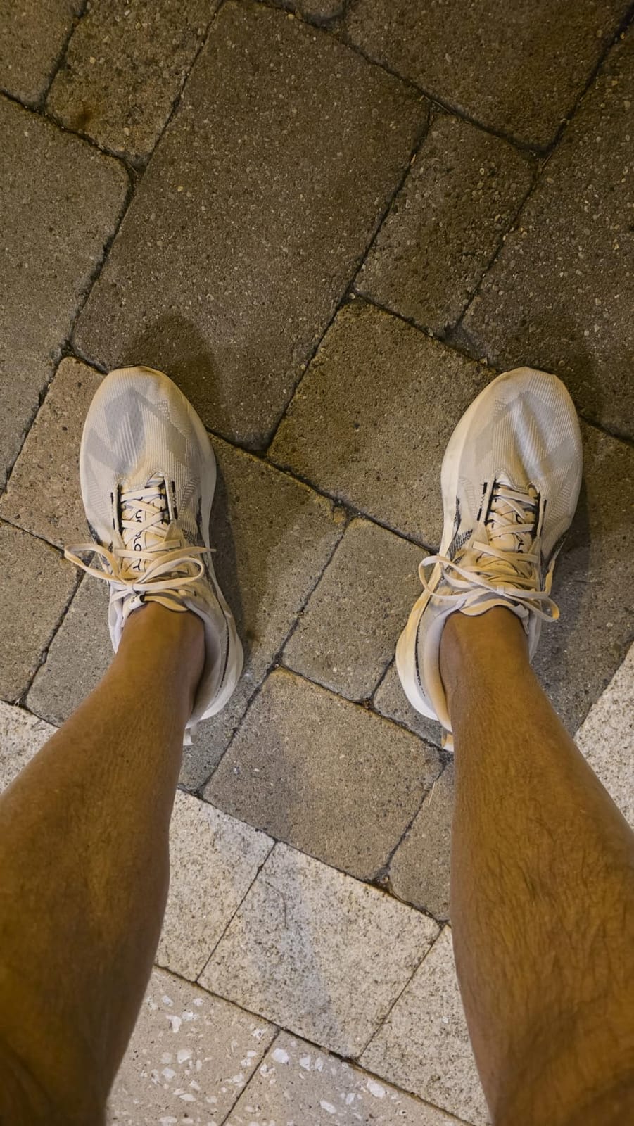 ASICS Men's NOVABLAST 5 Running Shoes customer photo 1