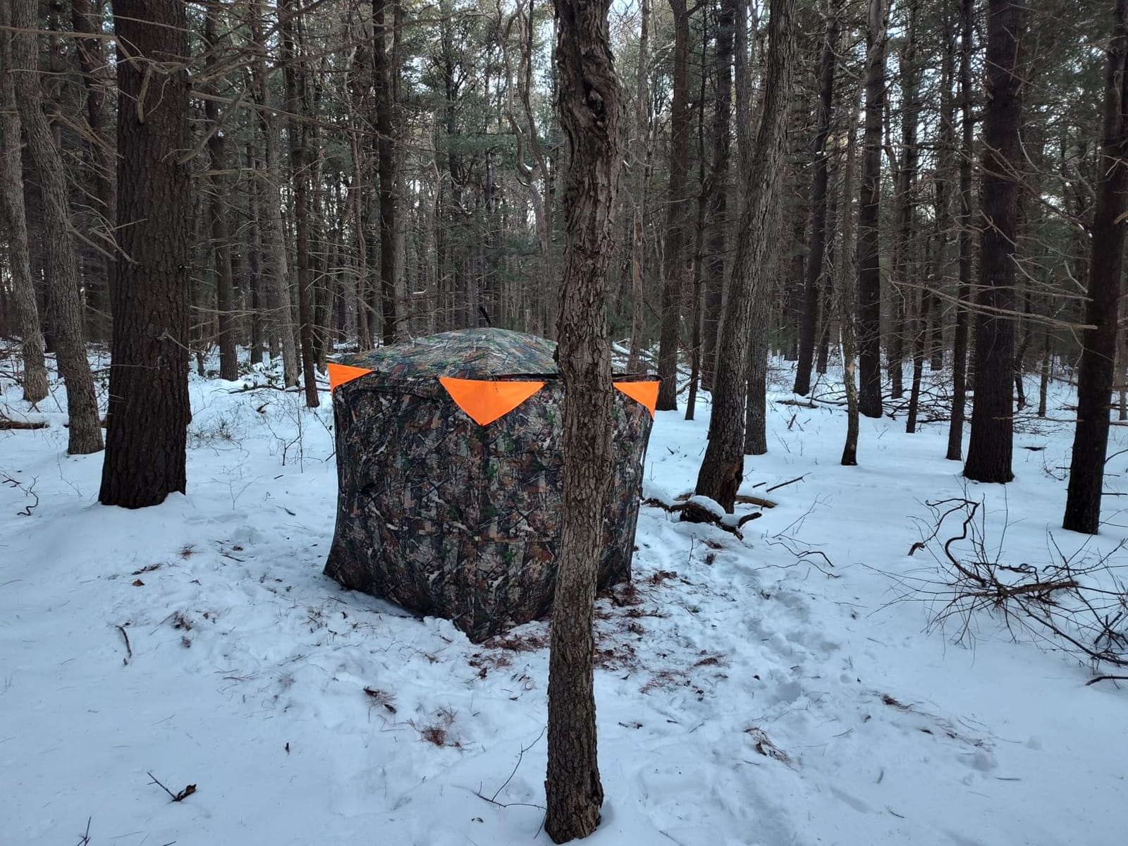 TIDEWE Hunting Blind 360 See Through, Pop Up Ground Blind with Large Door customer photo 1