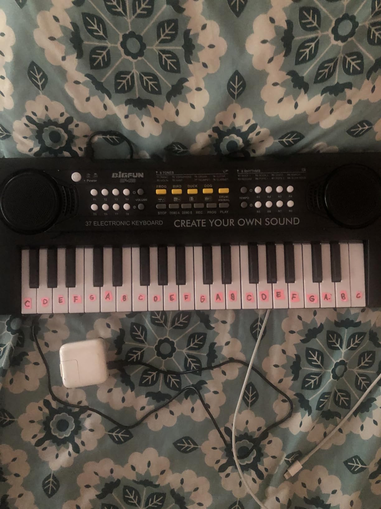Raimy 37 Keys Electronic Keyboard Piano for Kids 3-9 Year Old | Early Learning Educational Portable Musical Instrument Toy customer photo 1