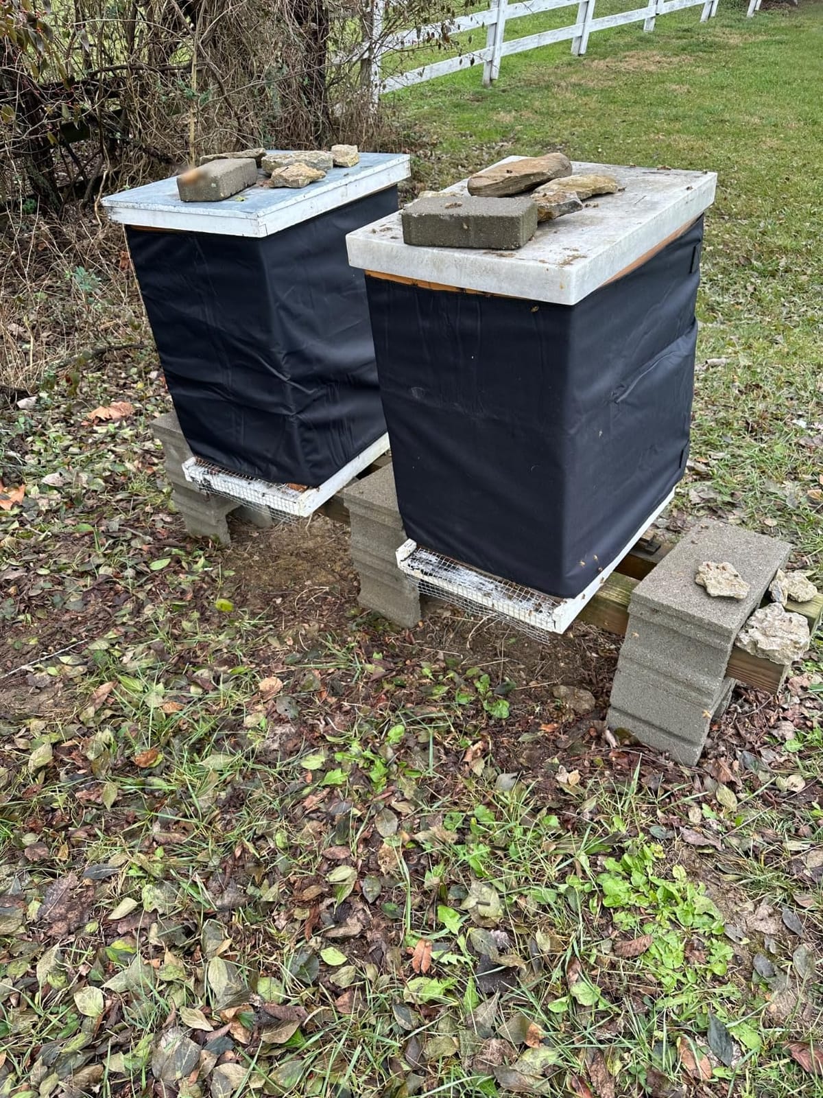 Winter Bee Hive Wrap for 8 and 10 Frame Hives, Adjustable Beehive Wrap Beekeeping Supplies, 600D Oxford Insulated Cover, Waterproof, Windproof, Lightweight, Eco-Friendly, Reusable customer photo 1