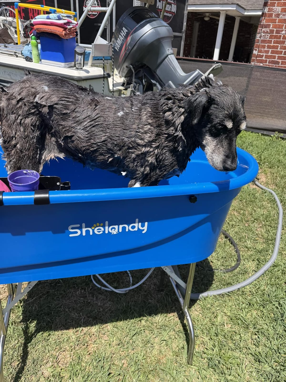 SHELANDY 45
