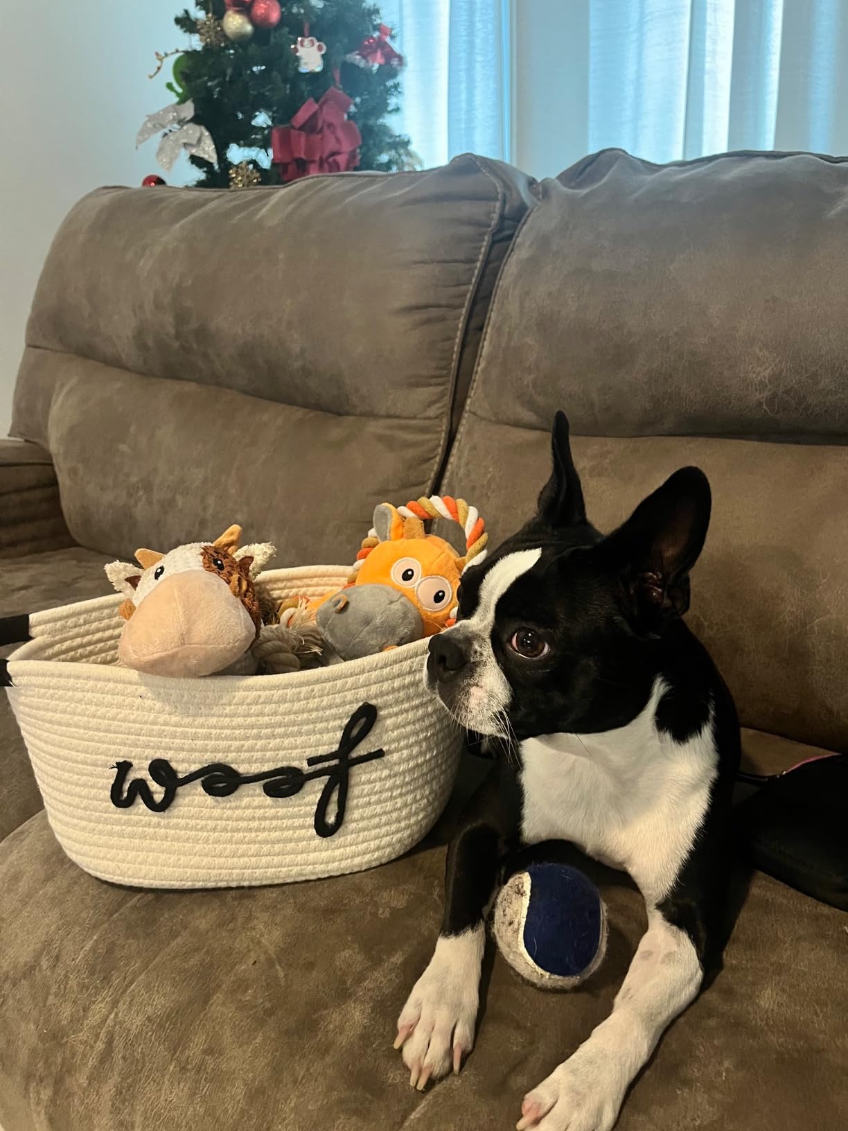 New Puppy Gift Basket - Premium Puppy Starter Kit and Dog Gift Basket | Includes Dog Toys - Perfect Doggie Birthday Gifts - Puppy Necessities with Pet Toy Basket customer photo 2