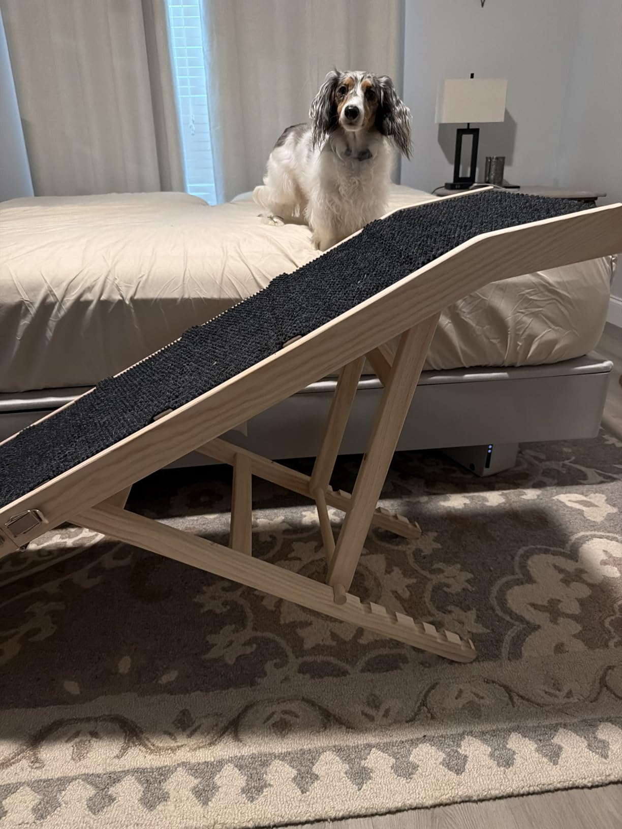 2026 Upgraded Dog Ramp for Bed, 64